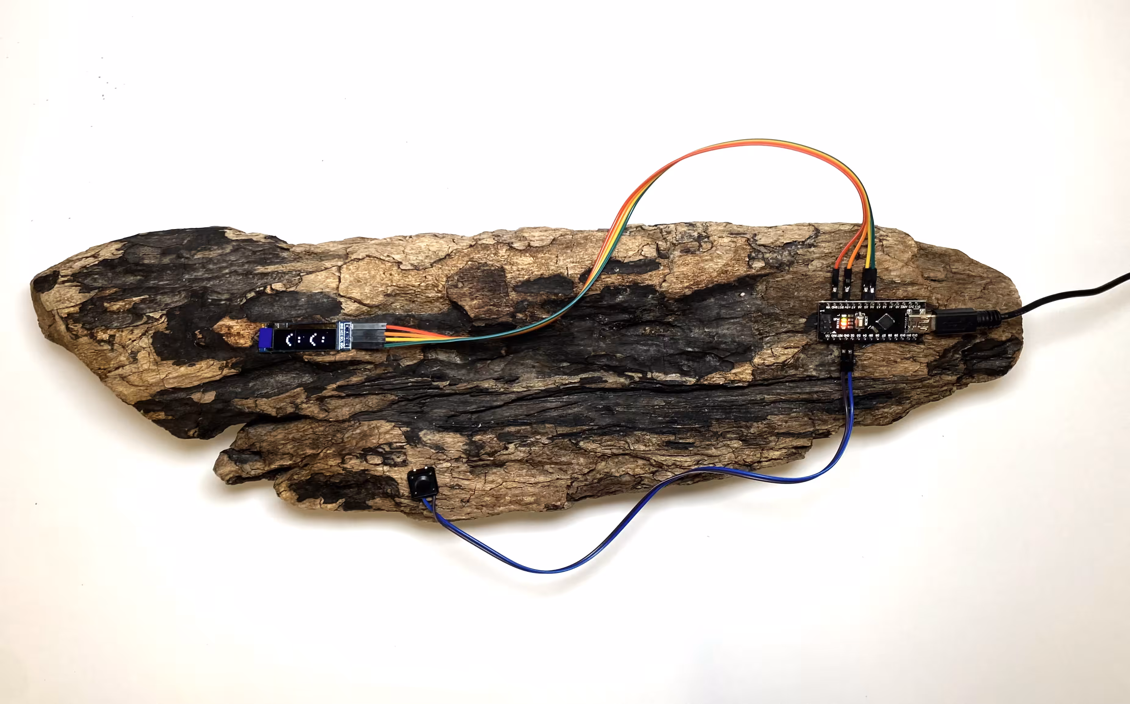 From a Place in Crypto Valley: Driftwood