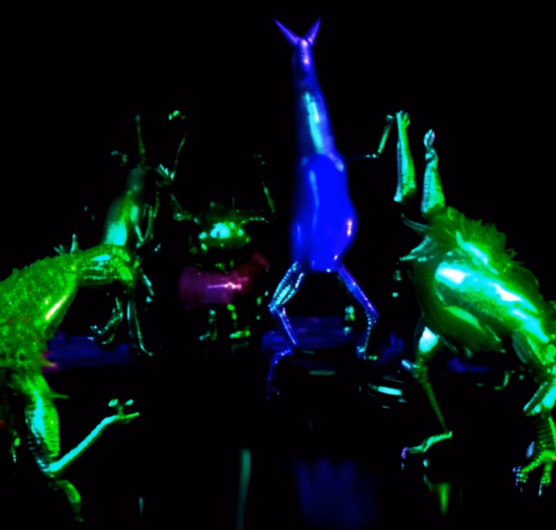 dance party