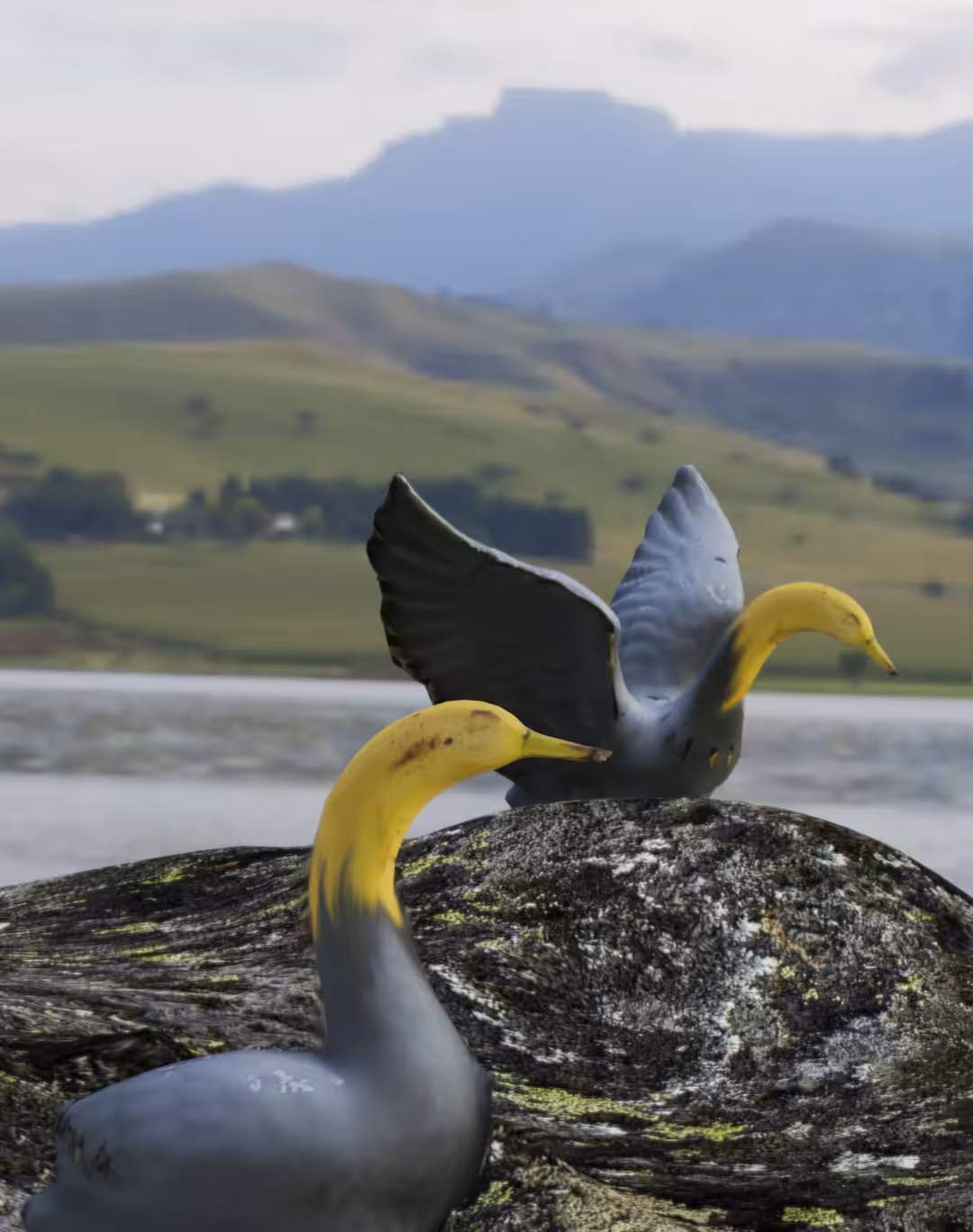 Duckanana