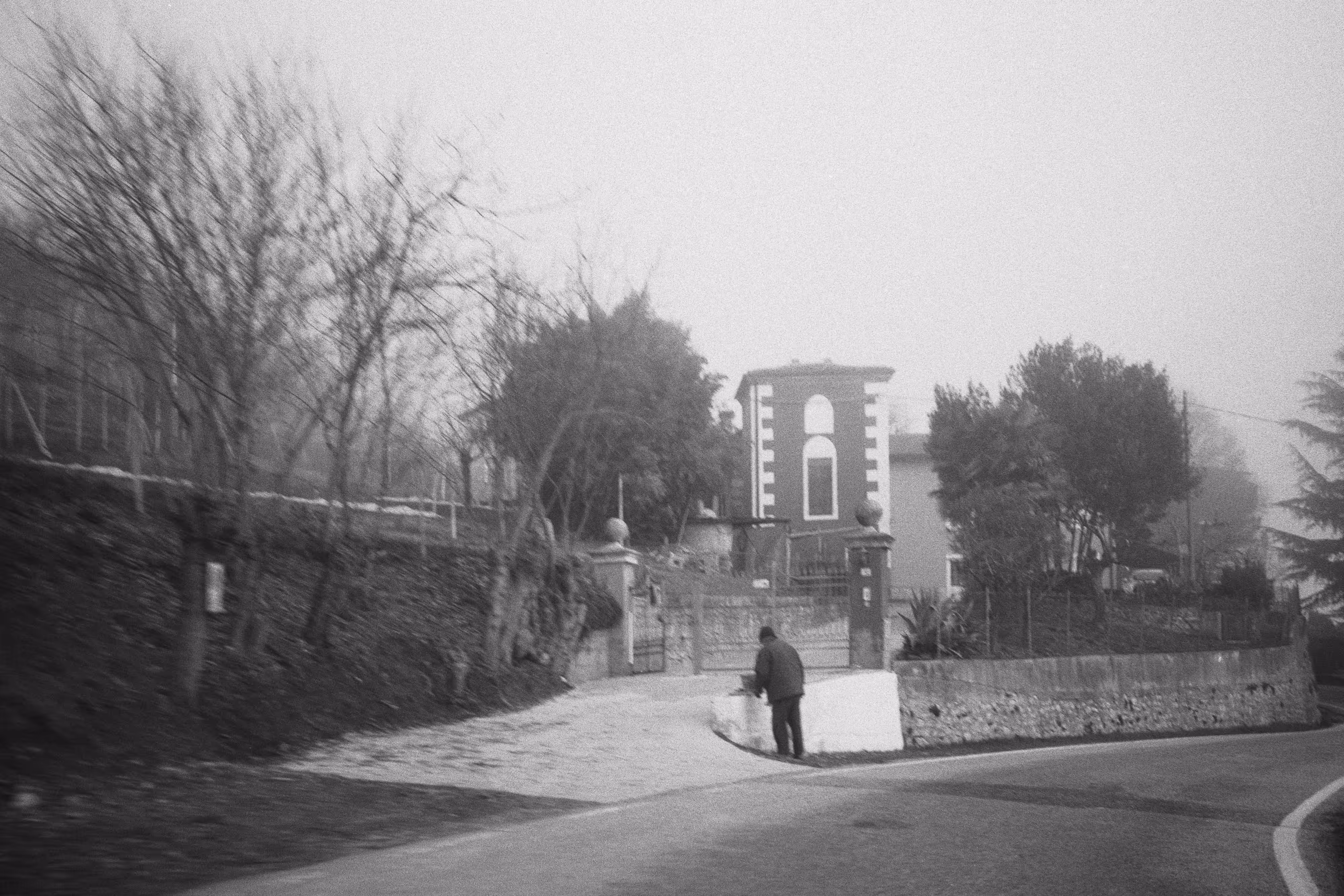 IMAGE 10
