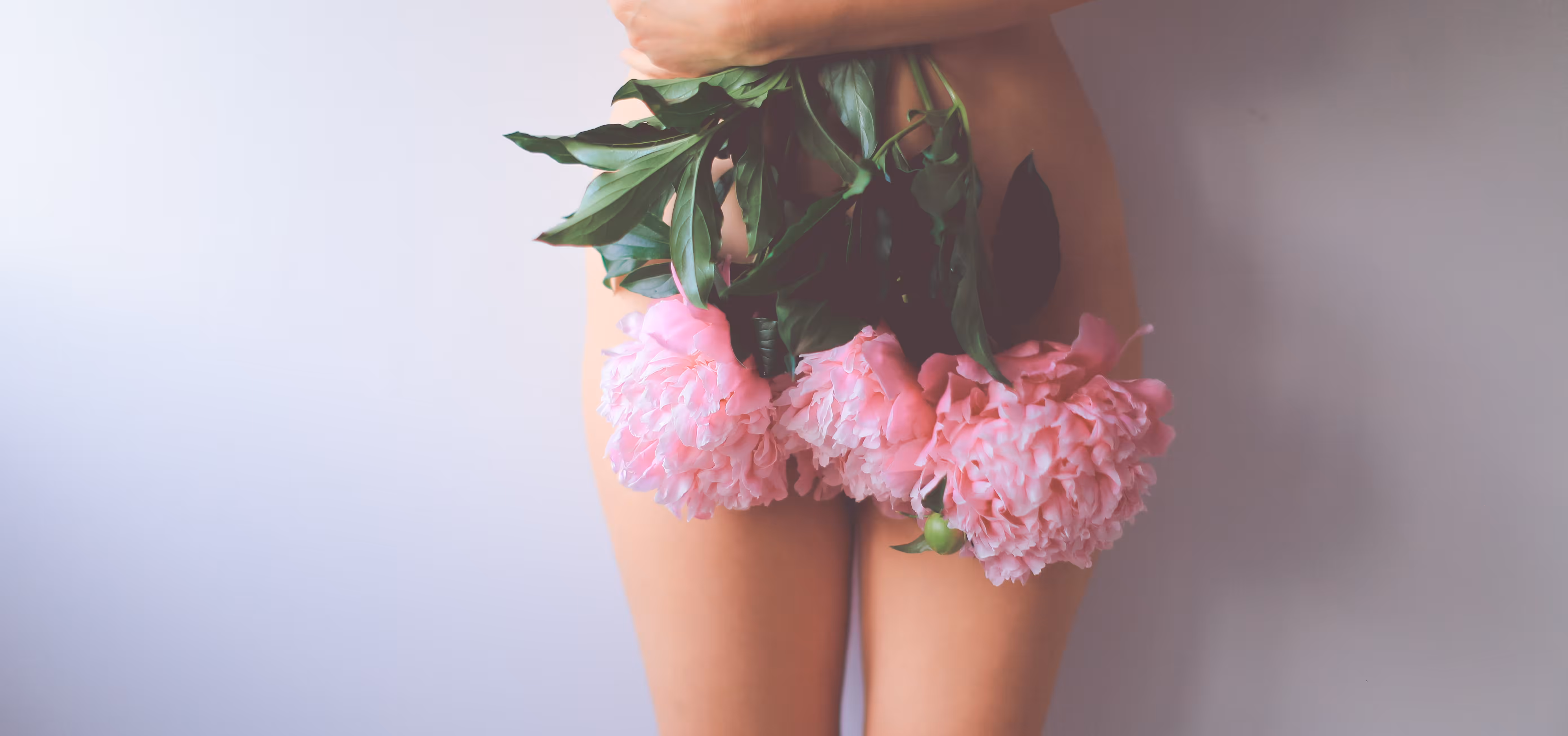 BLOOM ii