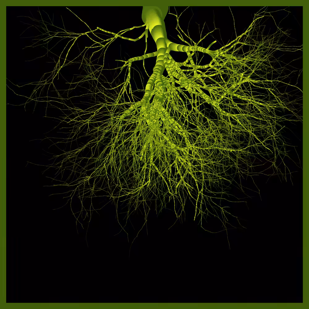 Arbres suspendus #120