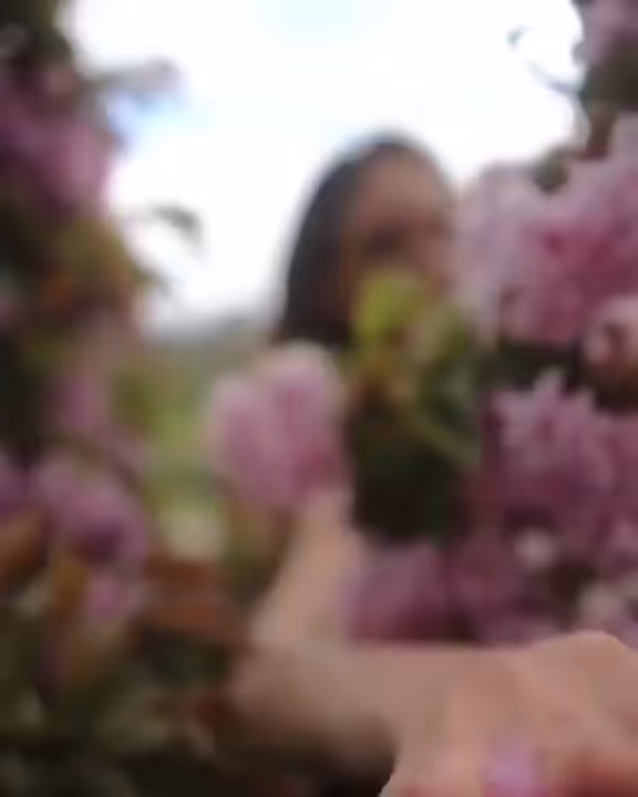 💎🗝▄▂🌱🌸🌸▀▇╲❌ 