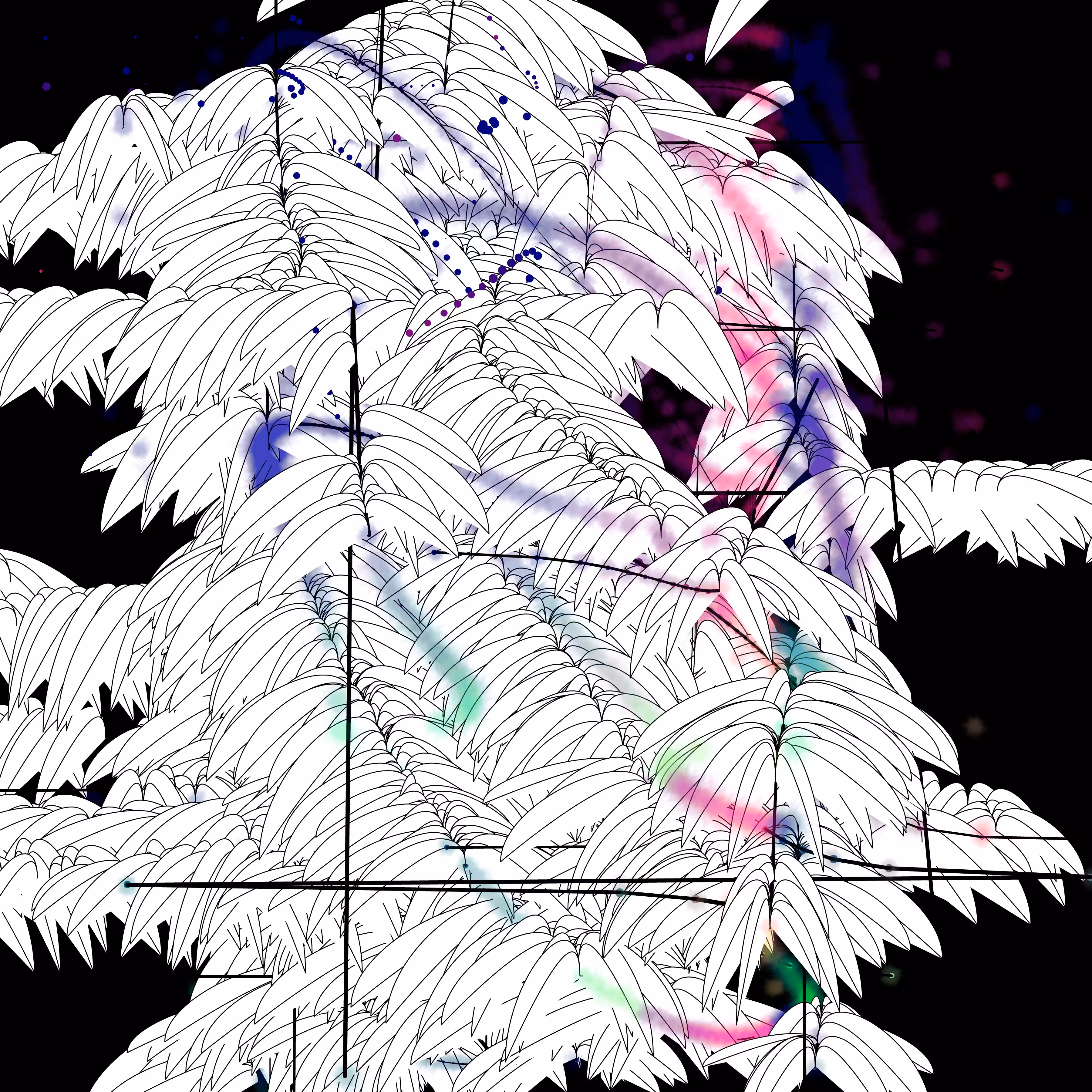 parametric growth exploration