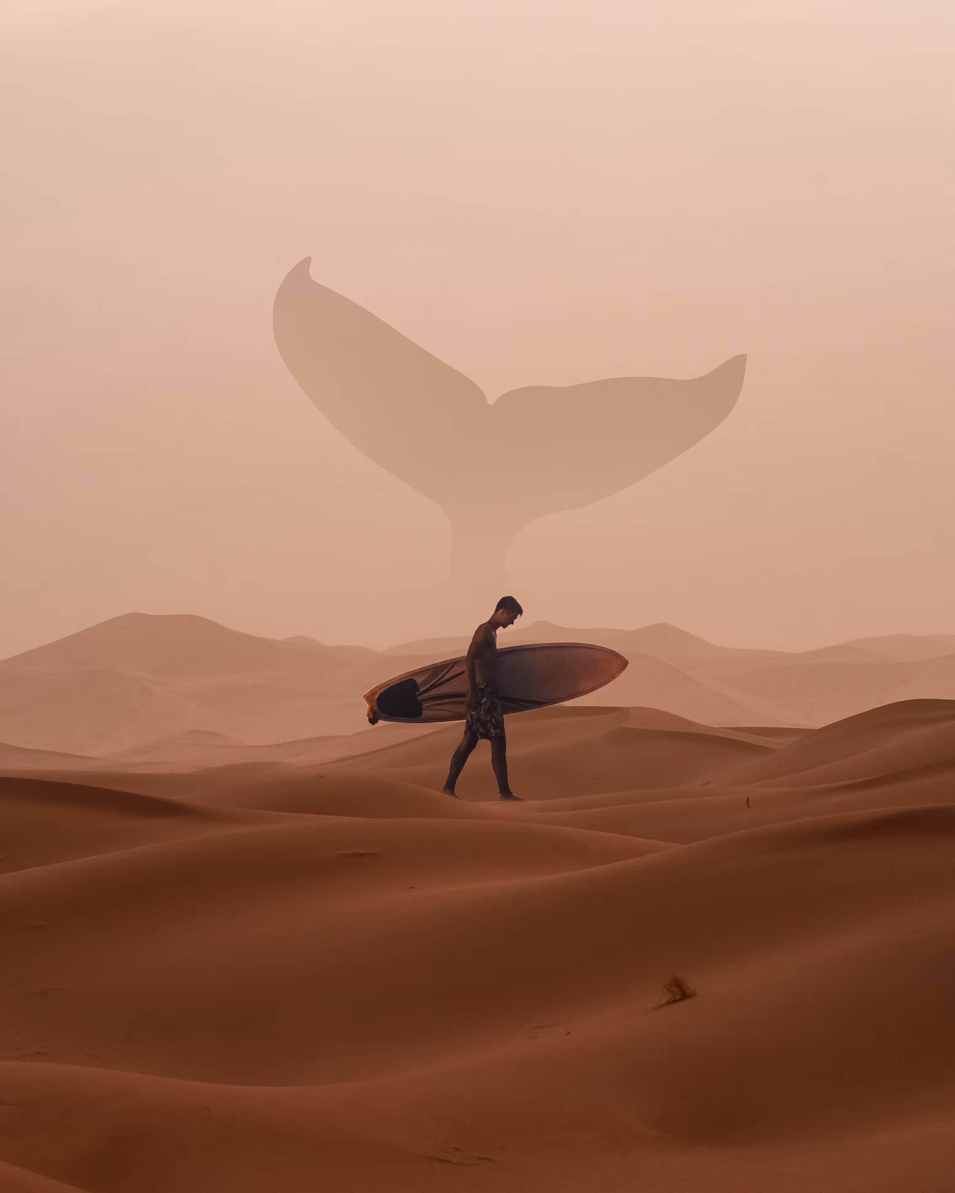 The Surfer
