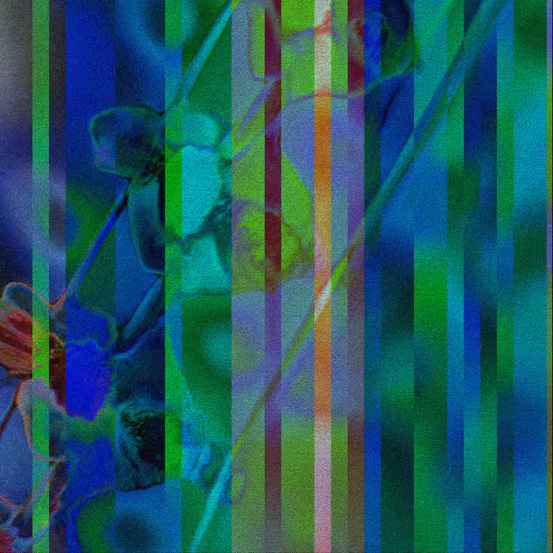 CLDCSMC #153