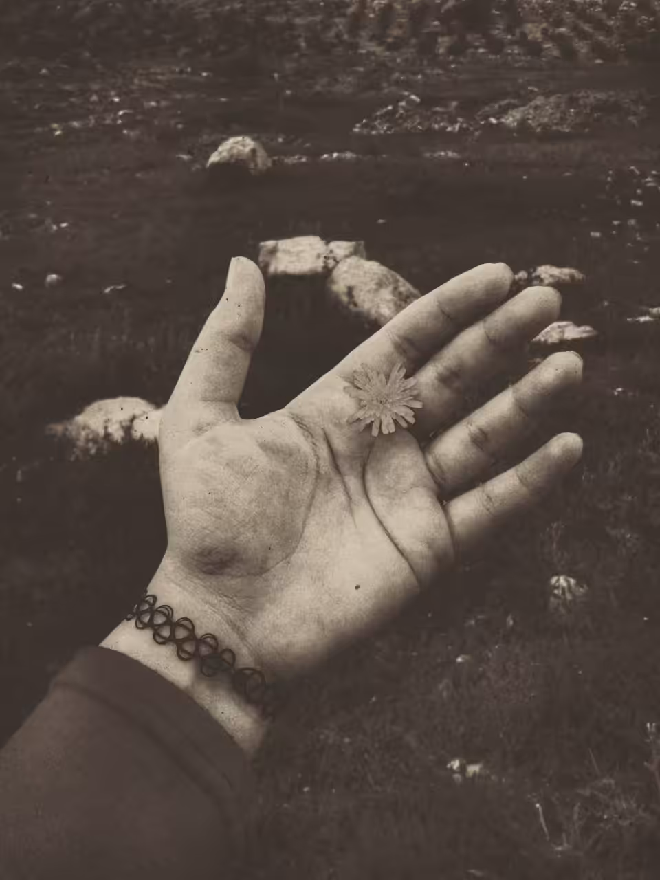 Nature Photography : Unconventional