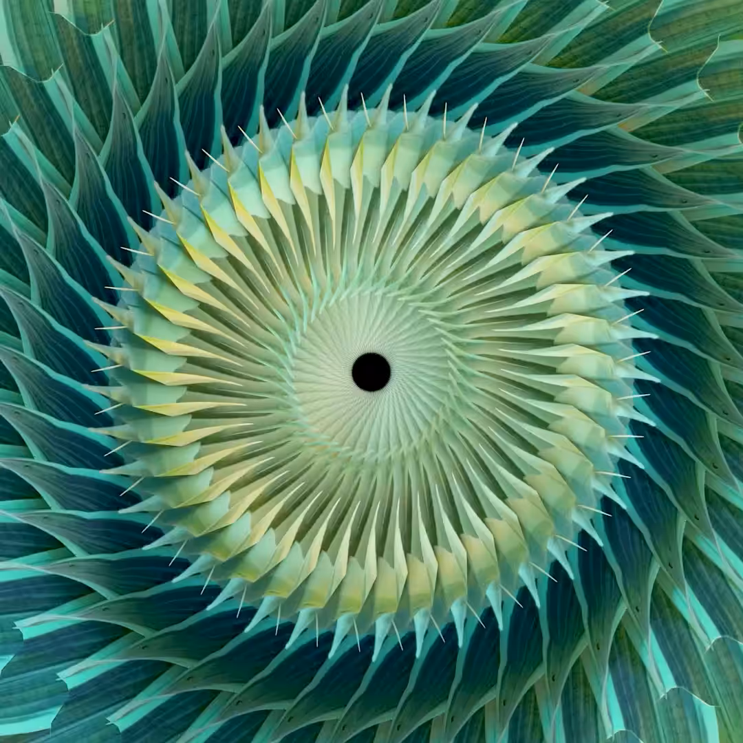 Zodiac