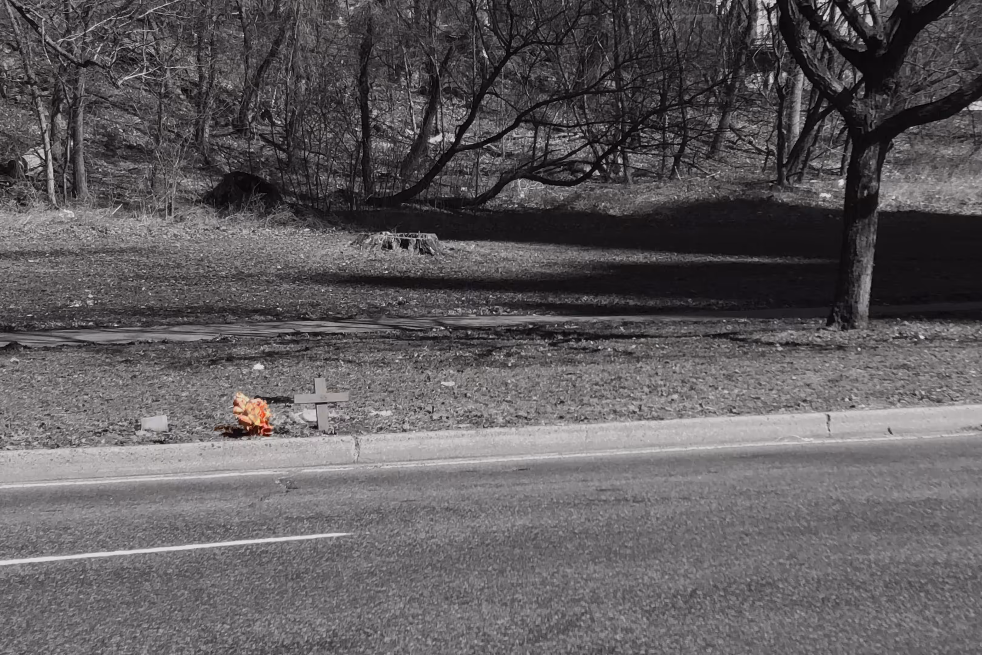 Roadside Reminiscence