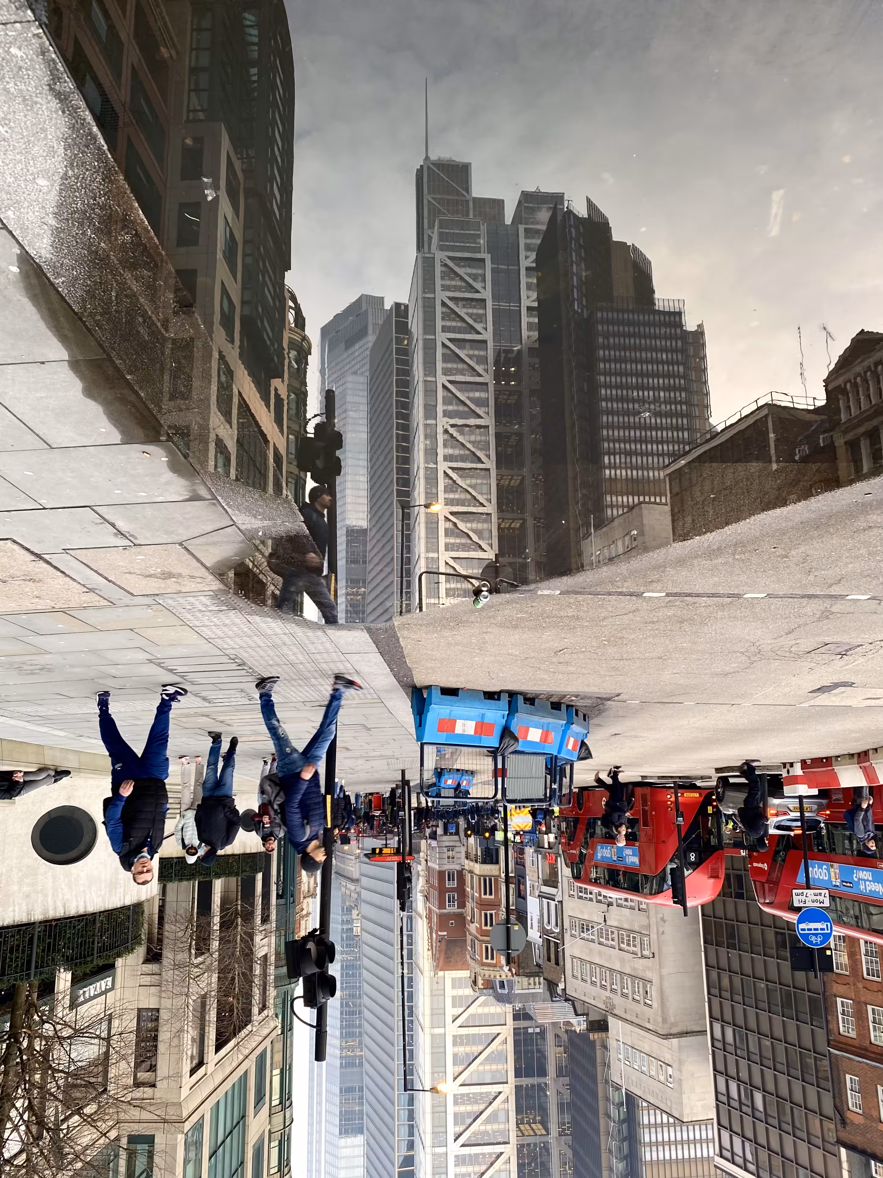 City of Reflections