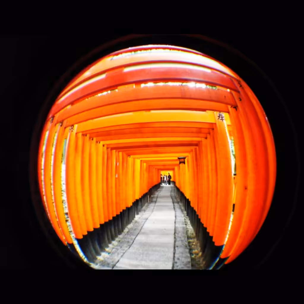 The Discreet Charm of Fushimi Inari