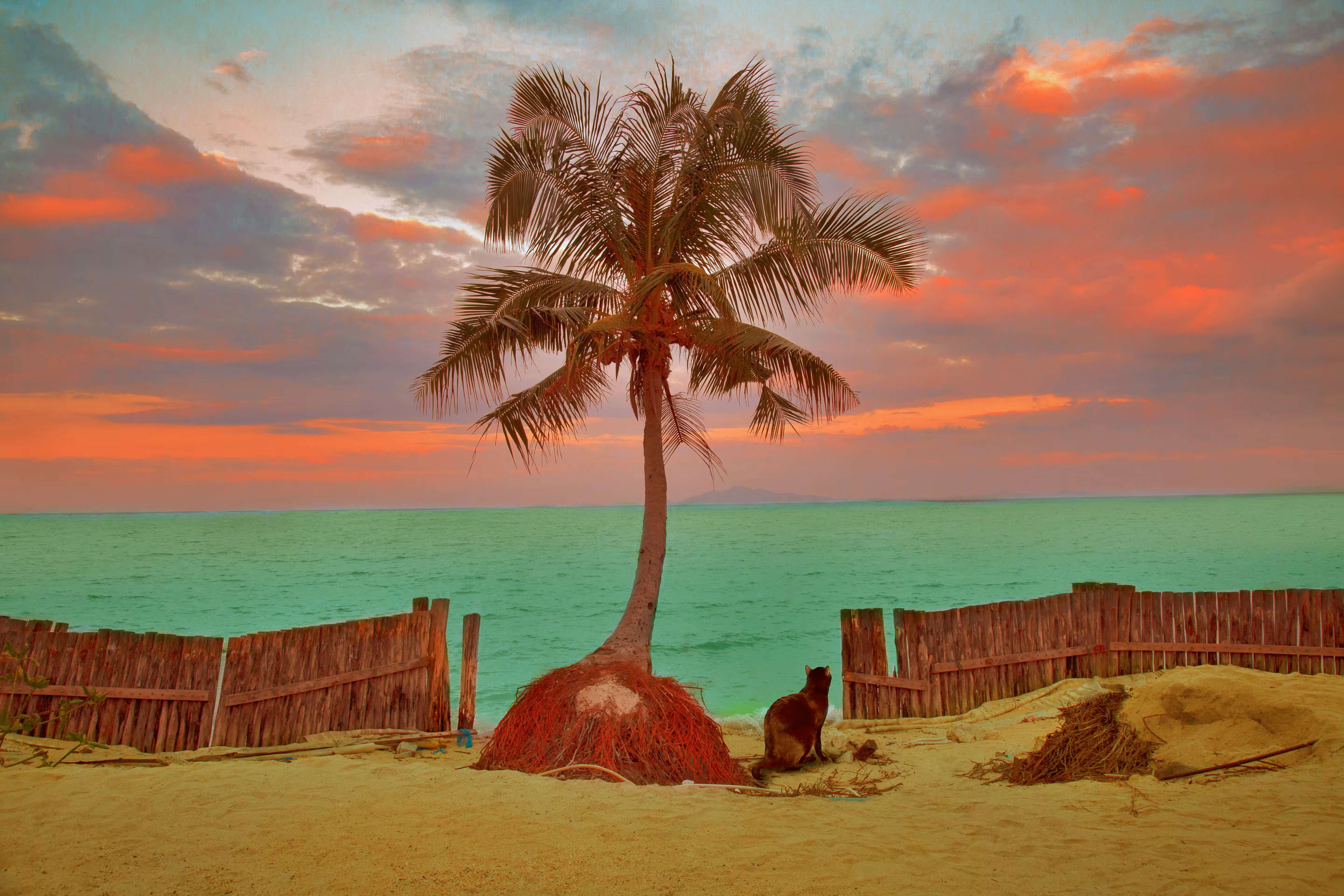 Find me under the Palm