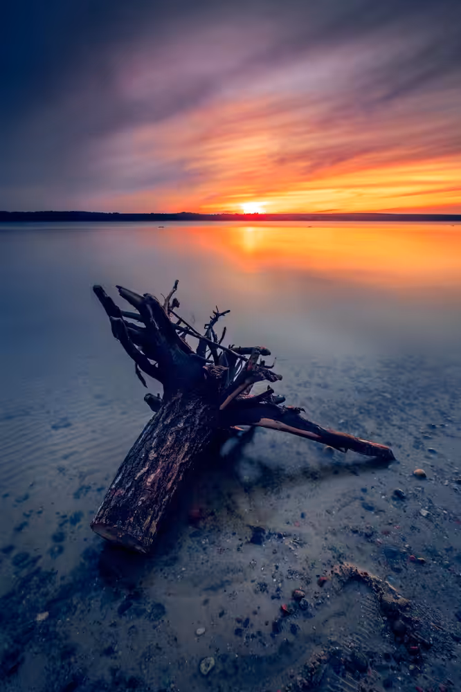 The Melody of Dawn