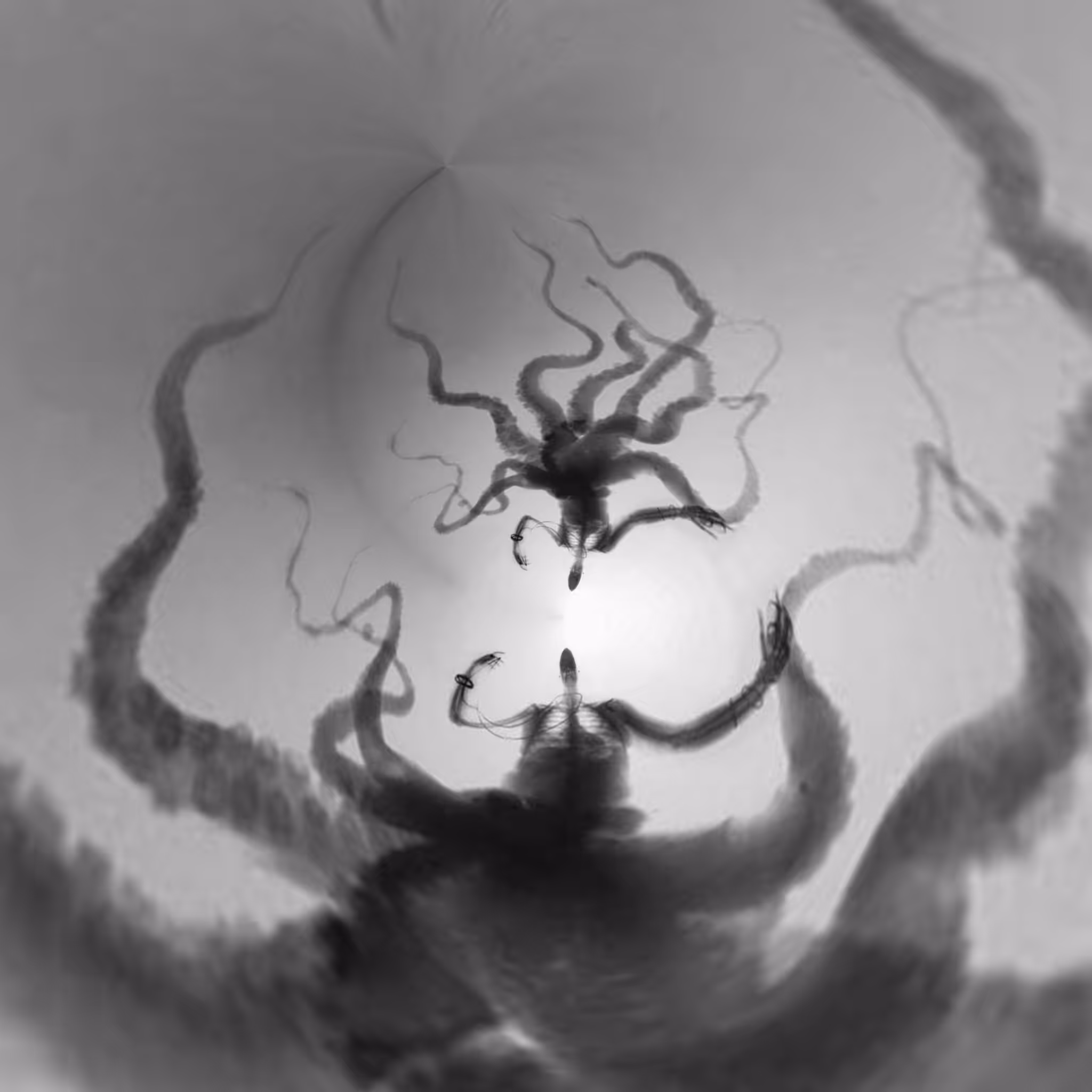 Iä! Iä! Cthulhu fhtagn!