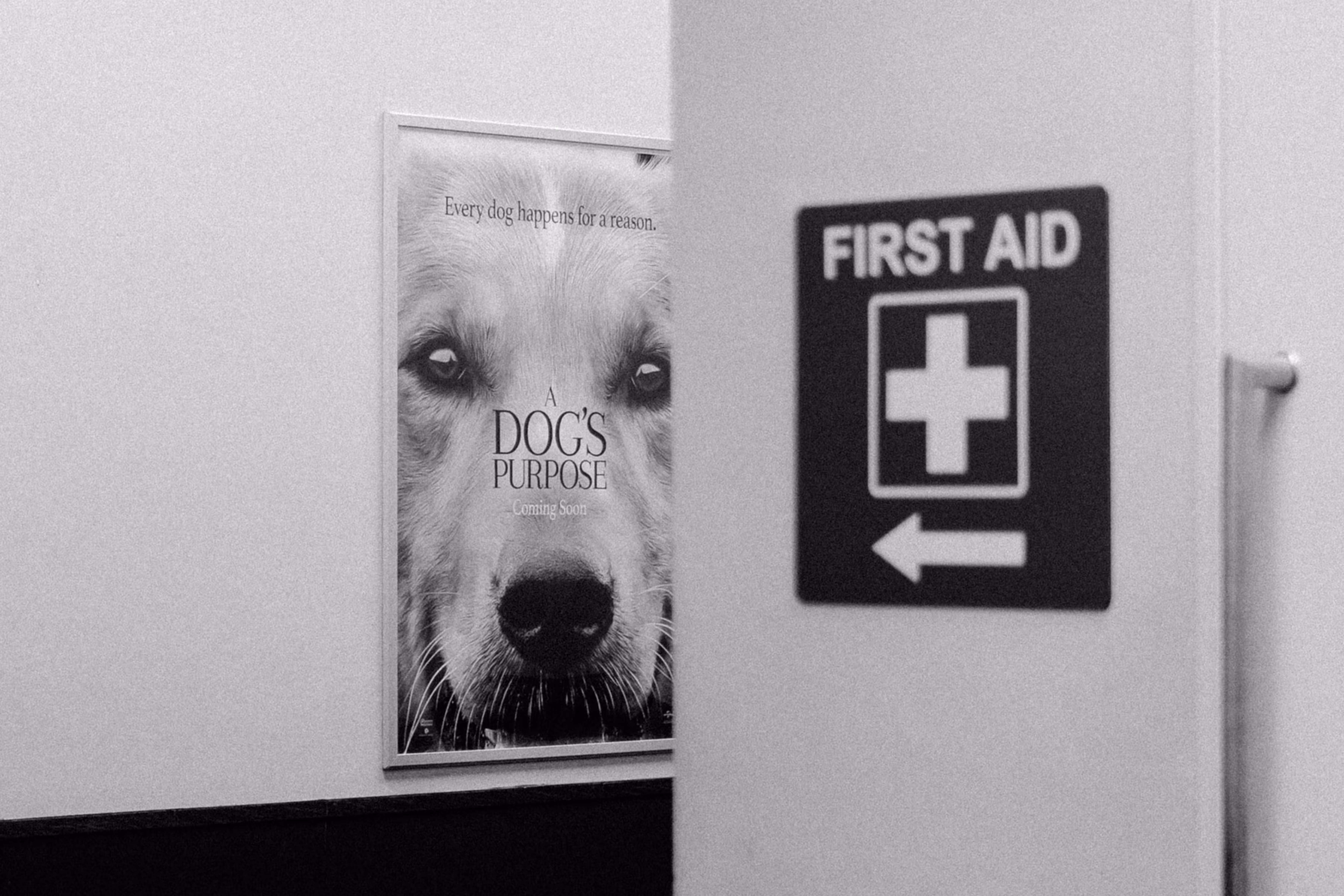 First Aid.