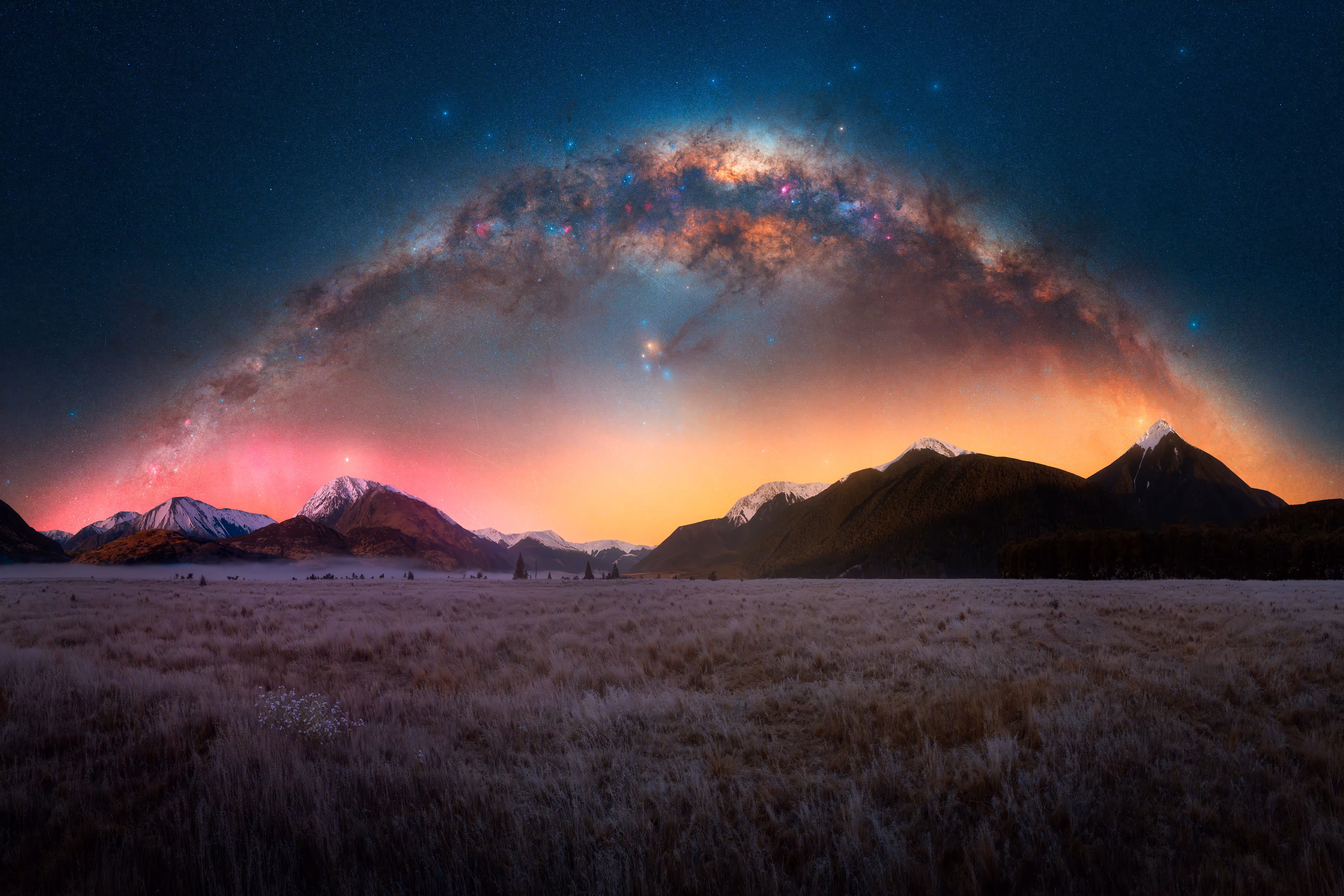 Starfield