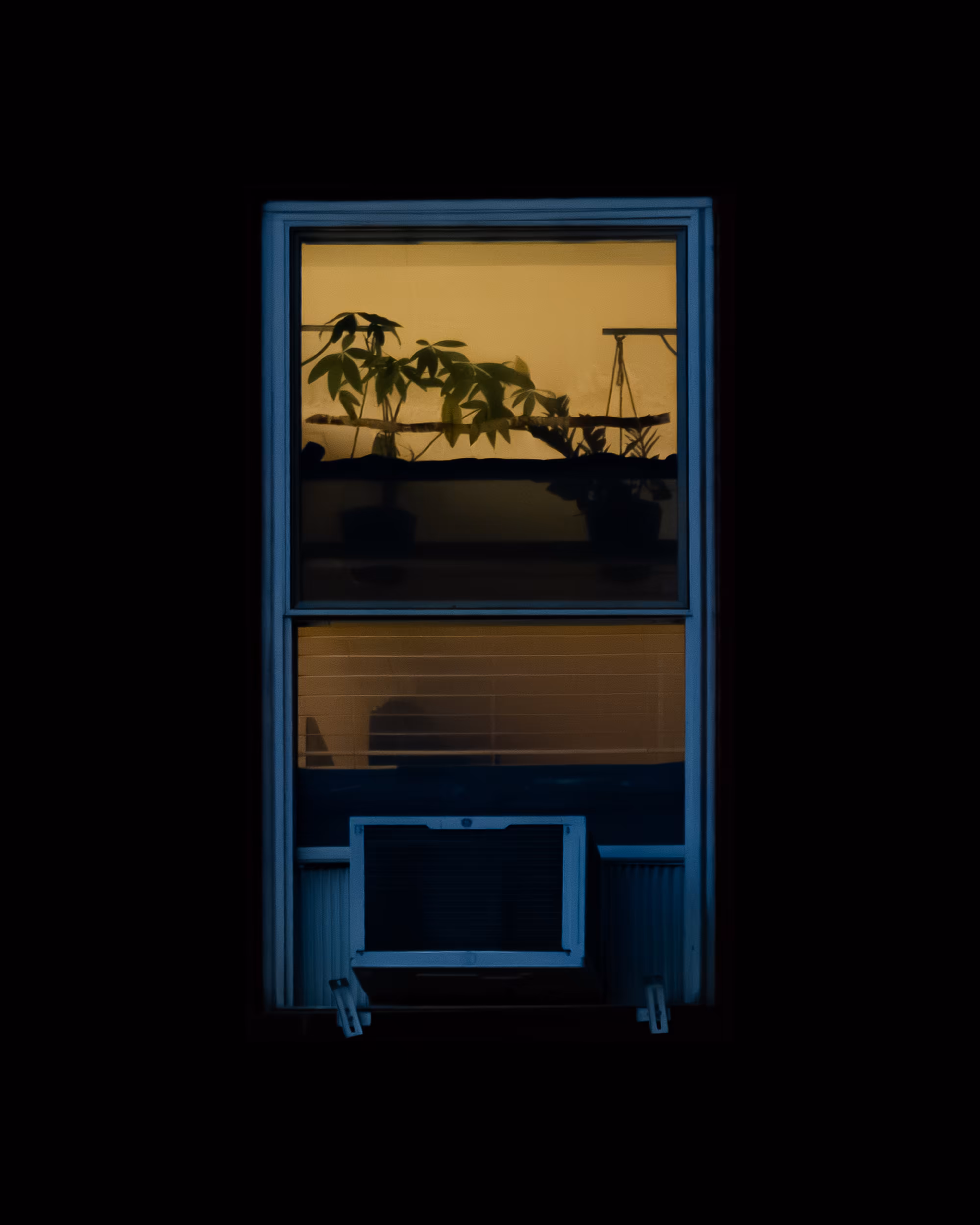 WINDOW 201