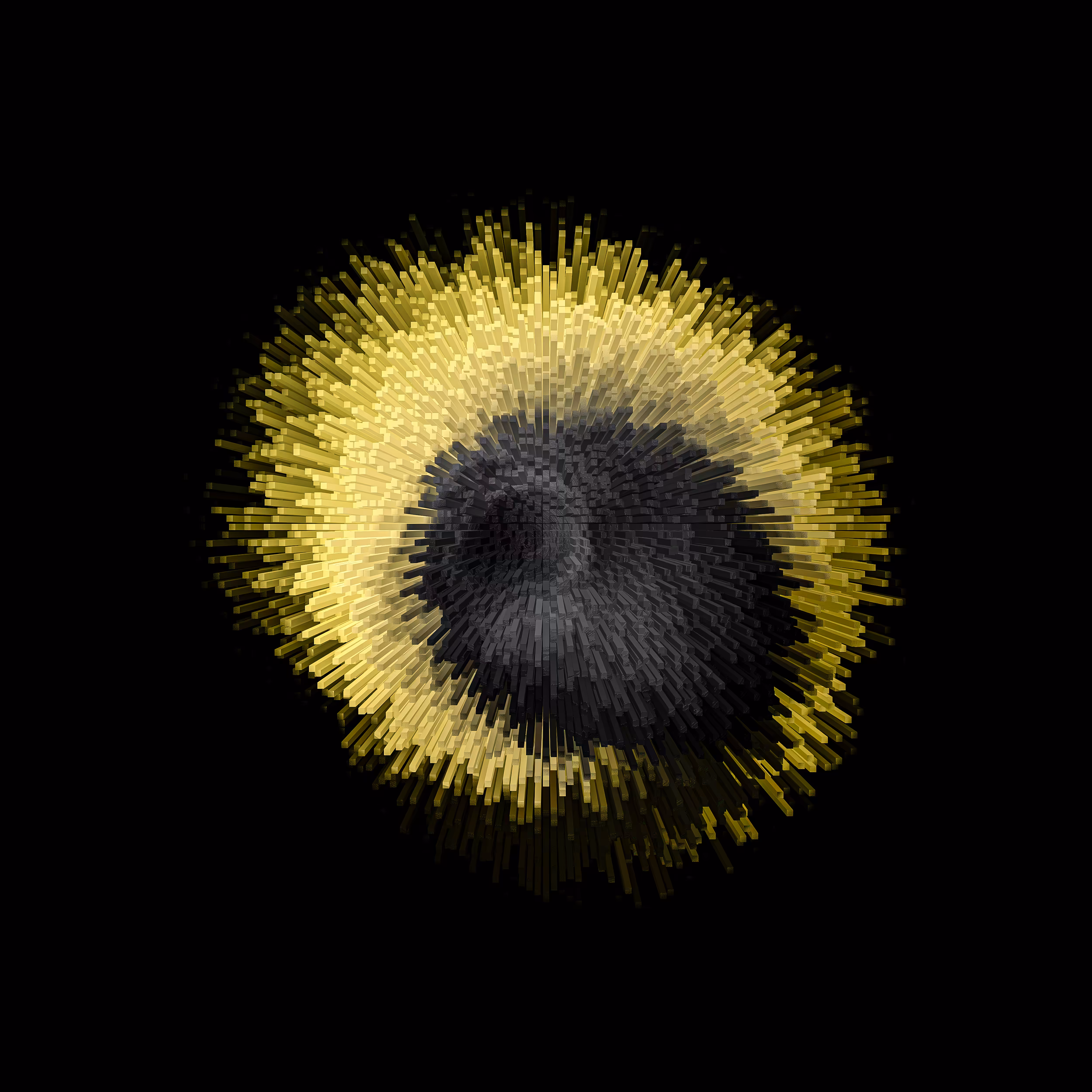 Black Hole