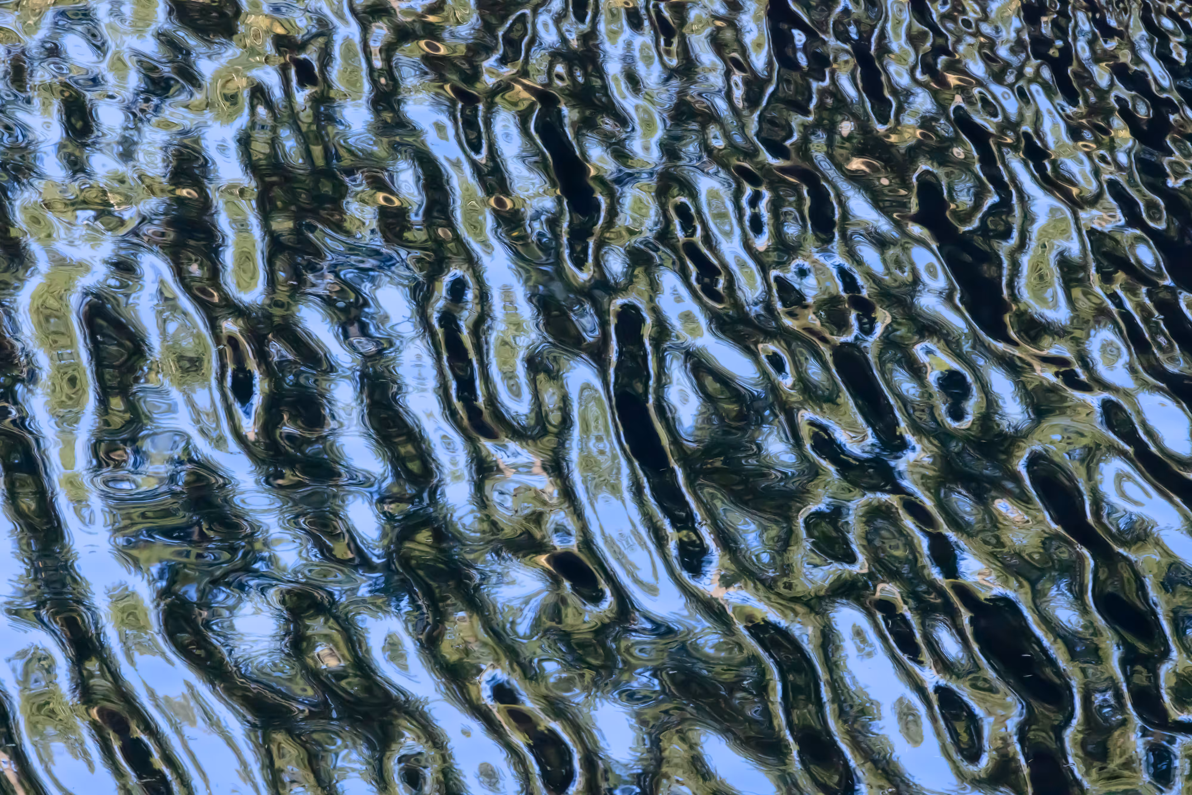Ebb and Flow #31a