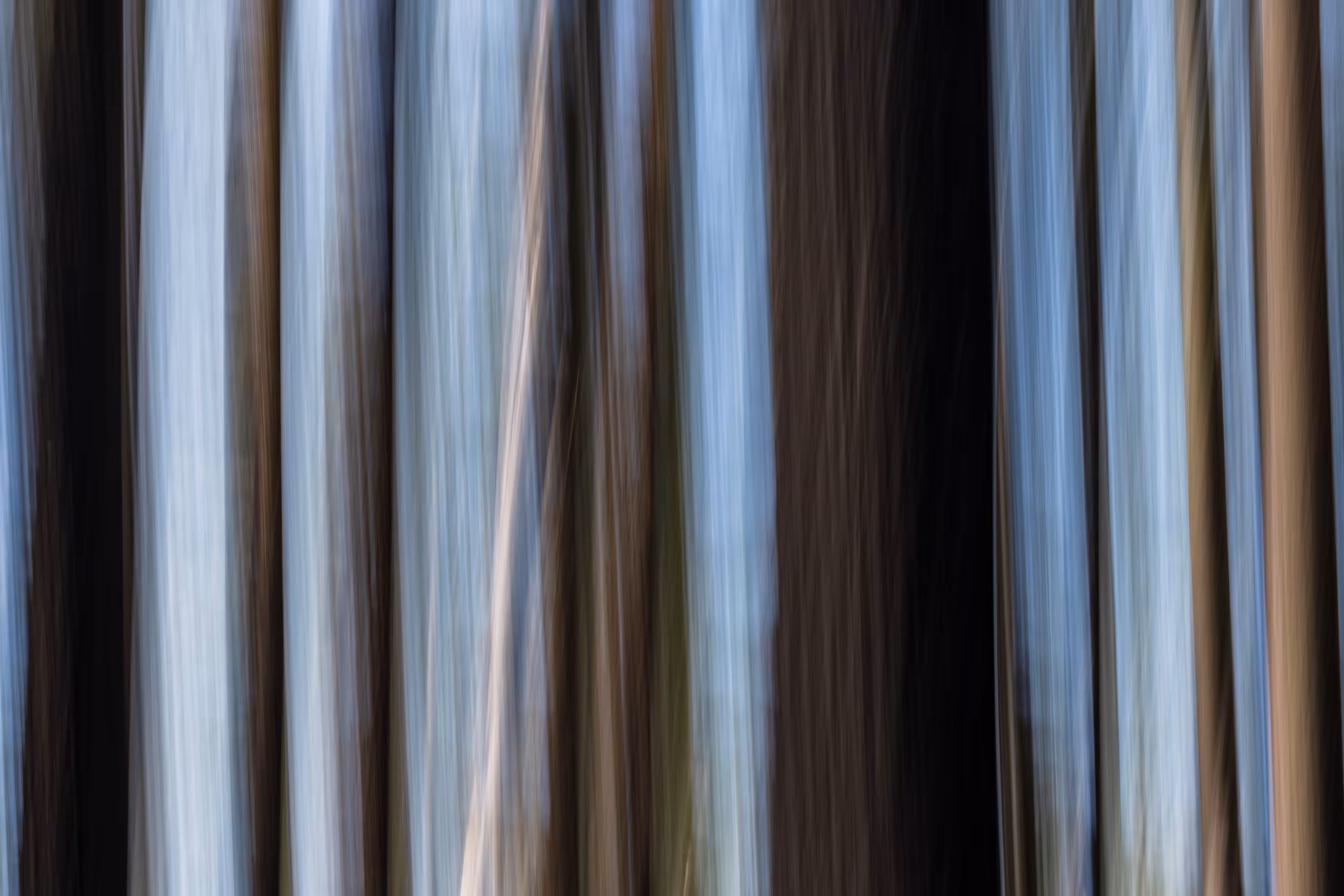The Ghosts of Elowah #42