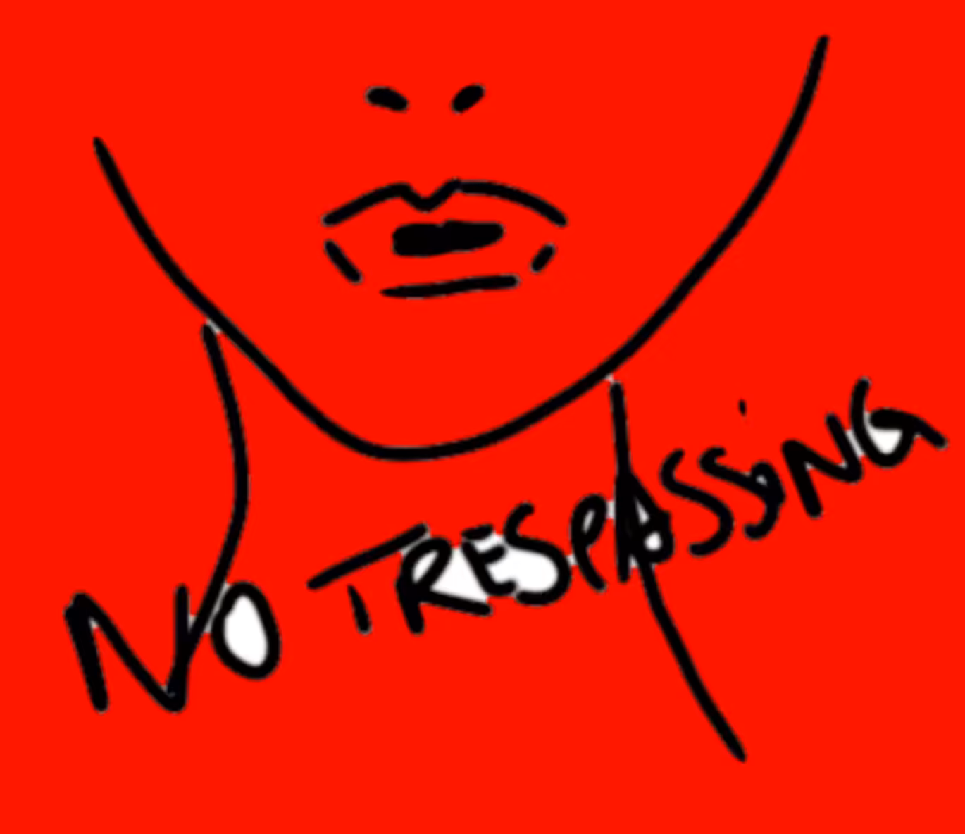 collectmylife #003 - notrespassing