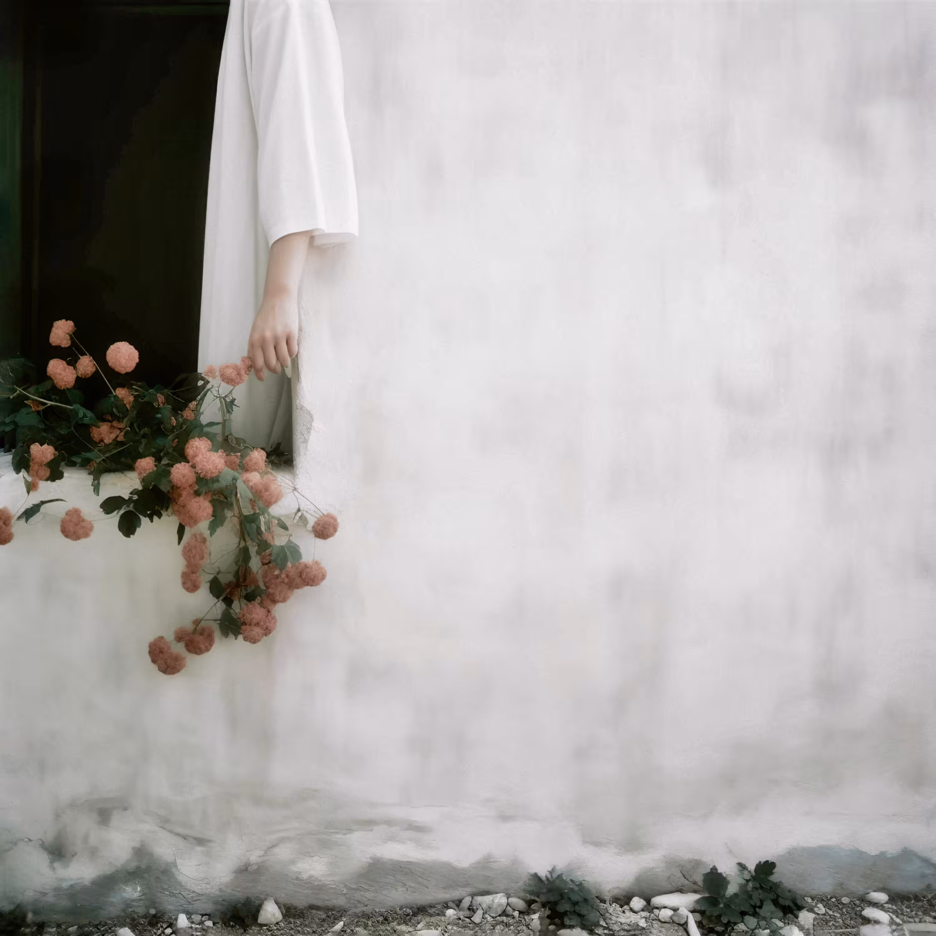 /étude en blanc