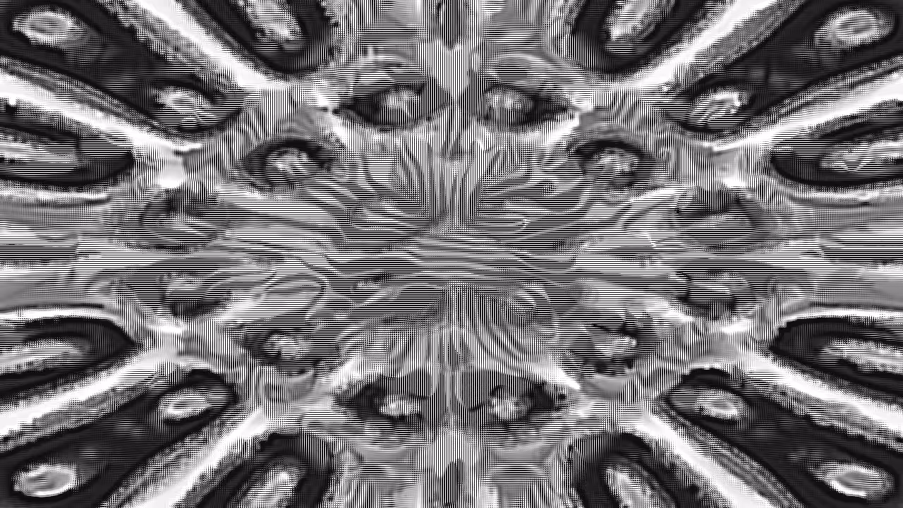 Harmonic Interference