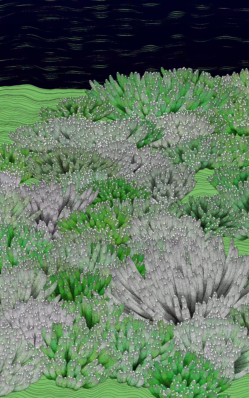 The Restoration Scheme: Bleaching #52