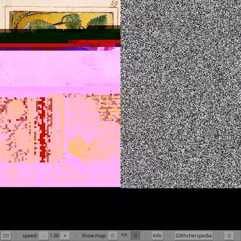 The Glitchers 1.0 - JPG with parasites #8