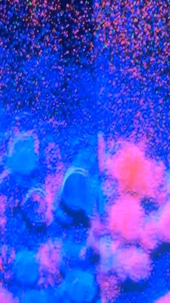 WITHOUT US x FRAGMENTS