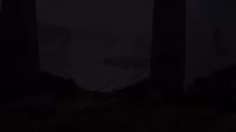 DX01: SINGULARITY 40188
