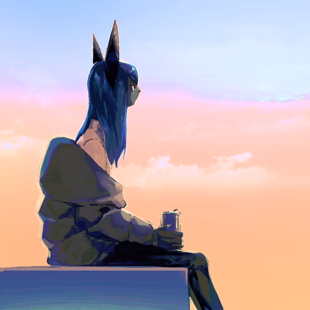 003