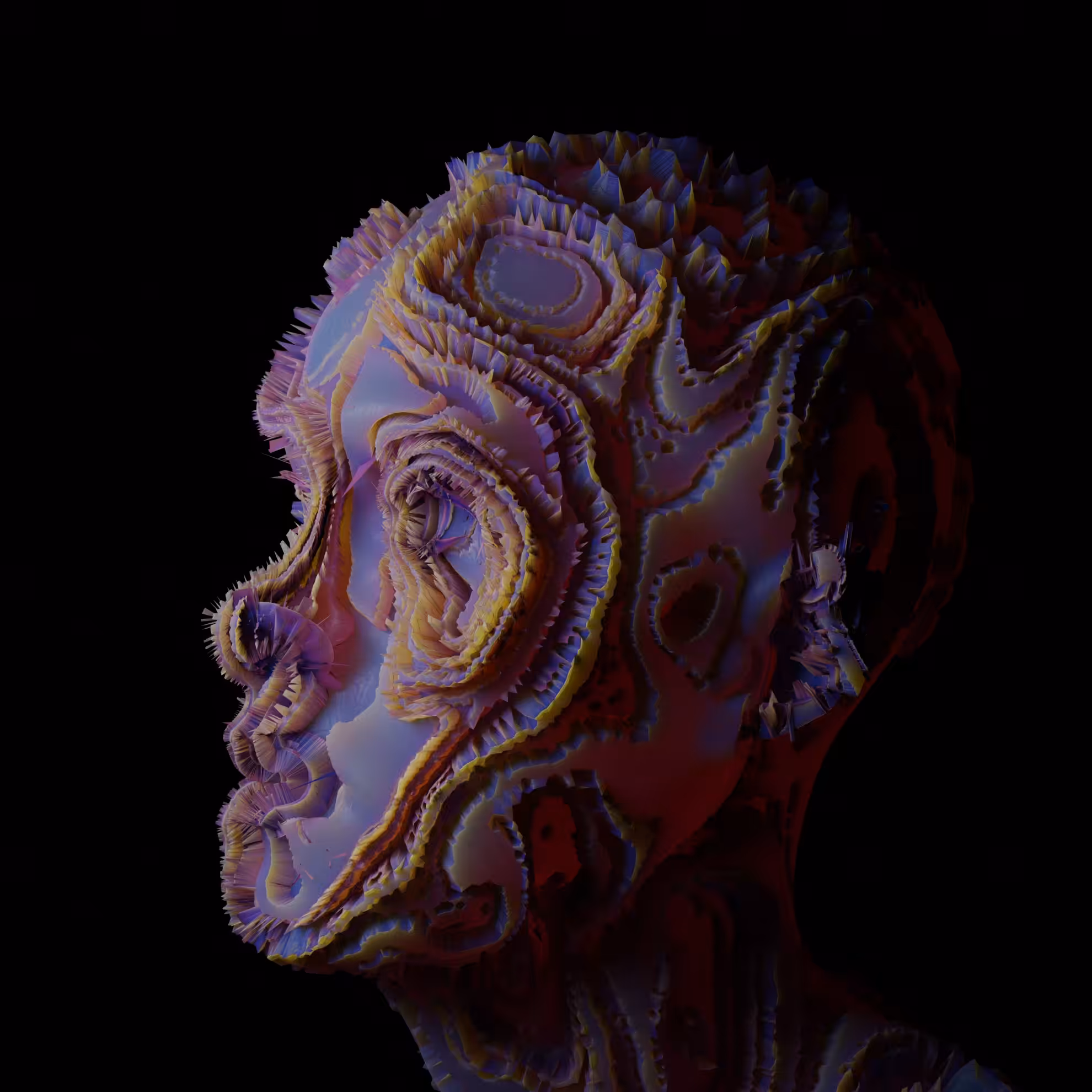 M U S H Y