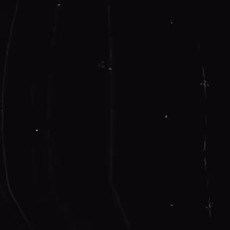 THE CLUSTER