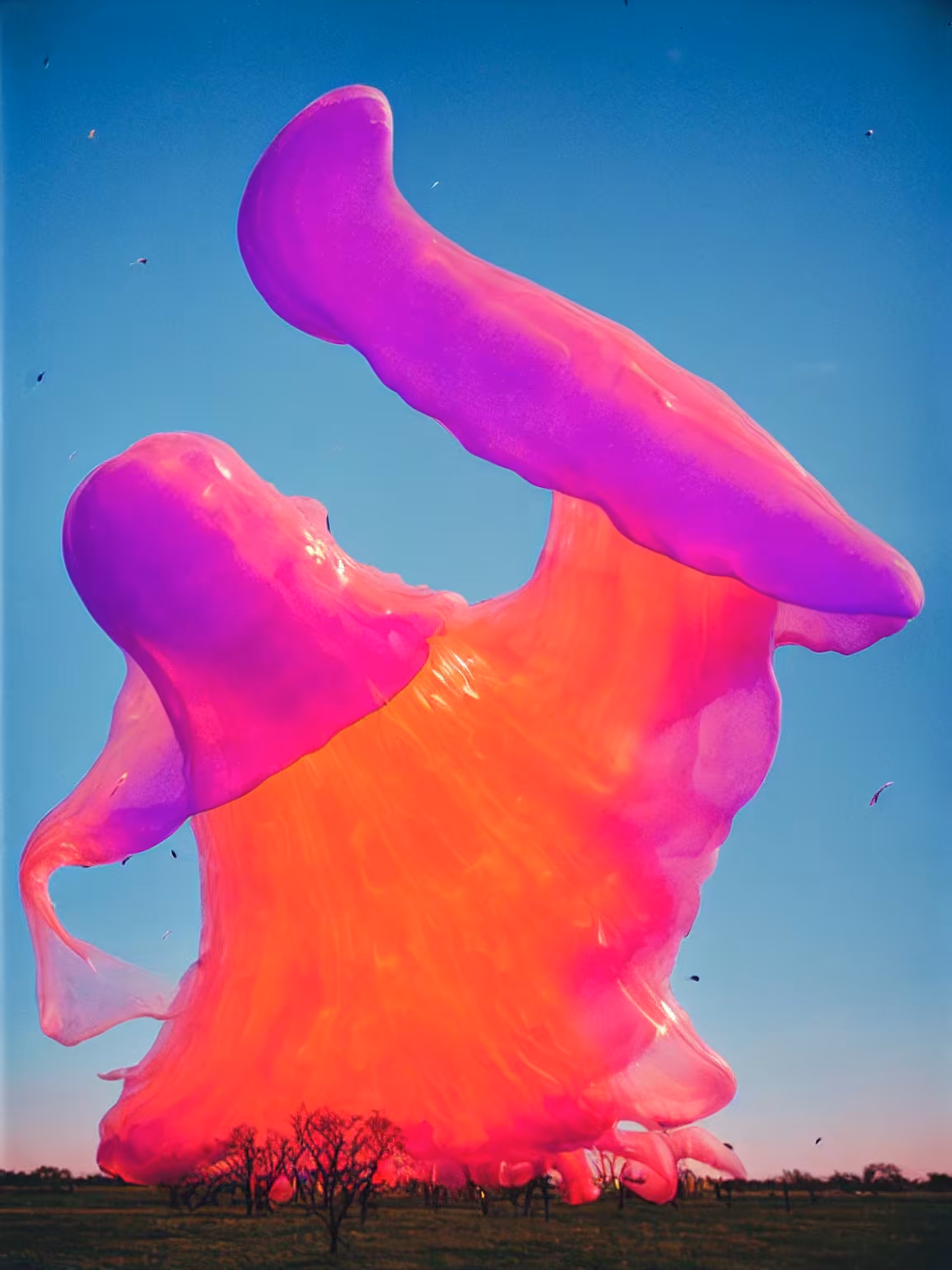 Year of the Jellyfish #97