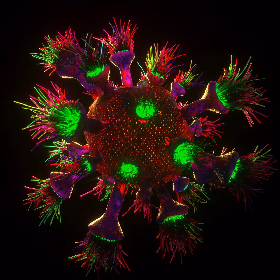 corona virus
