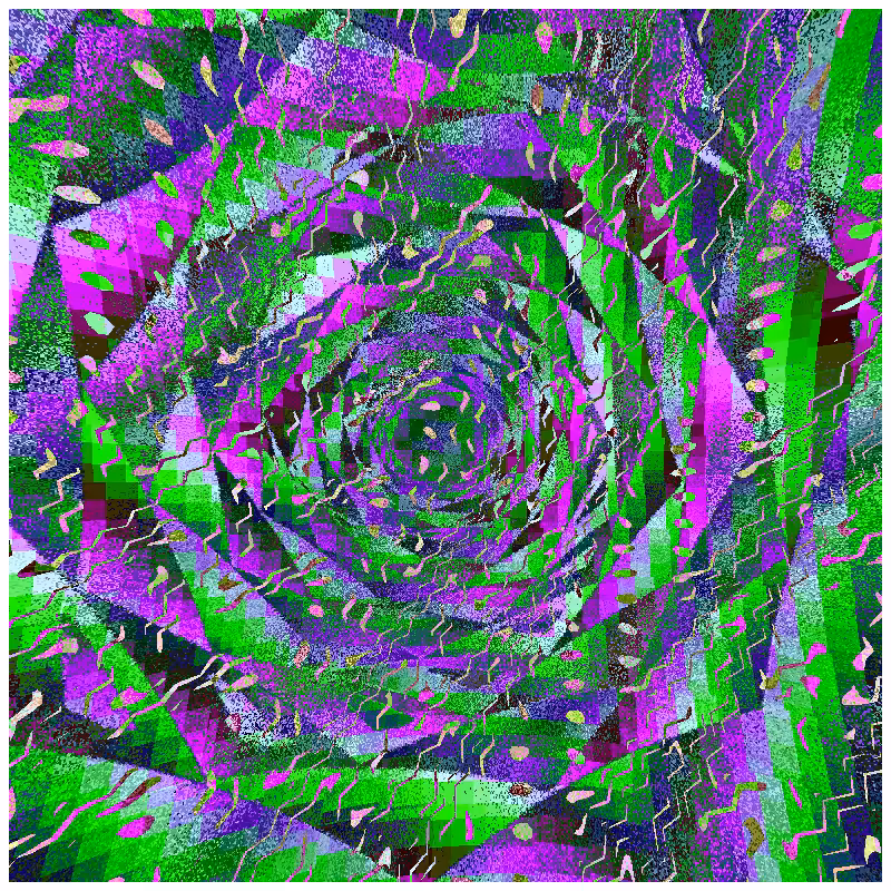 rosette #23
