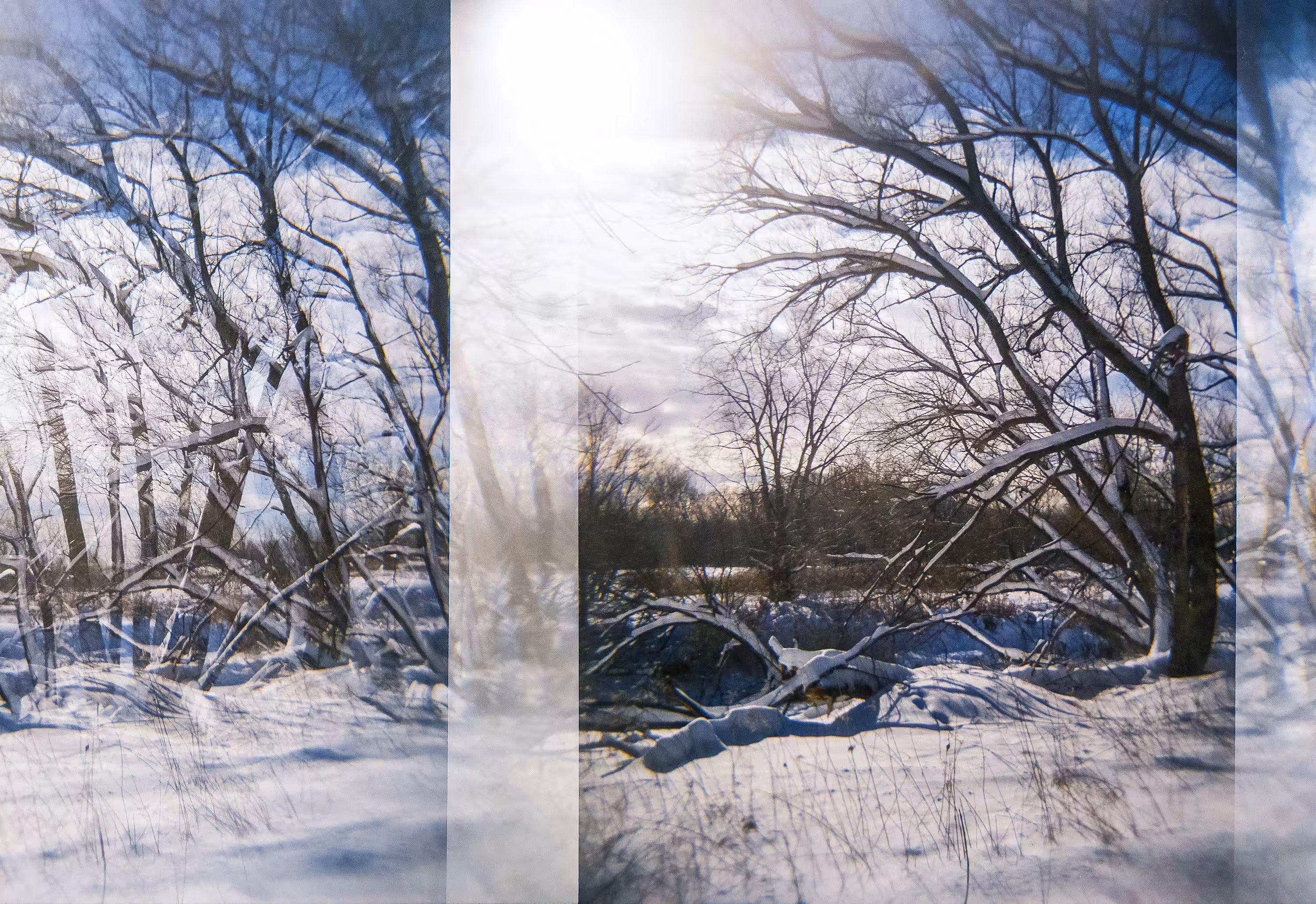 Nature Broken, Nature Healed: BPM