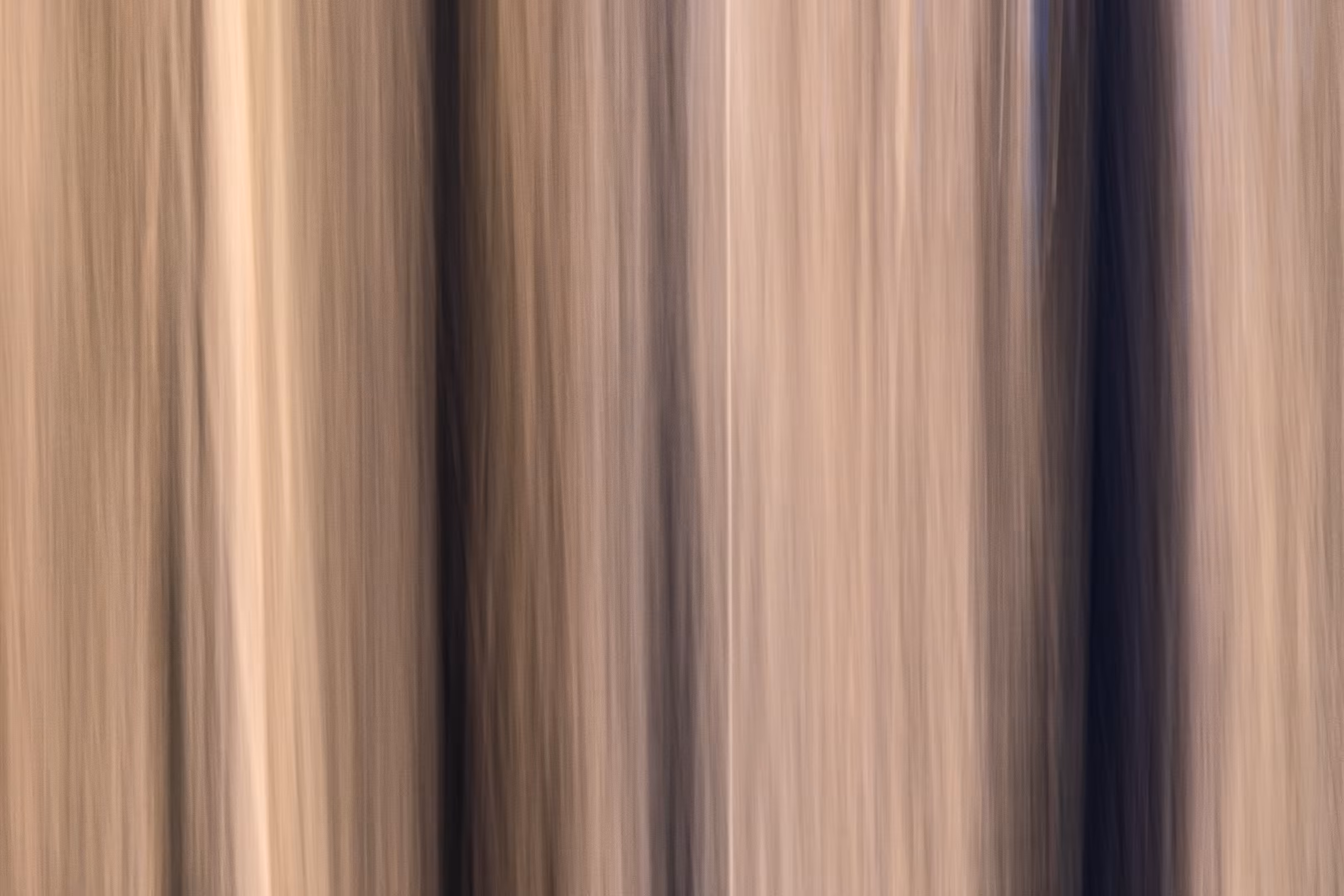 The Ghosts of Elowah #31