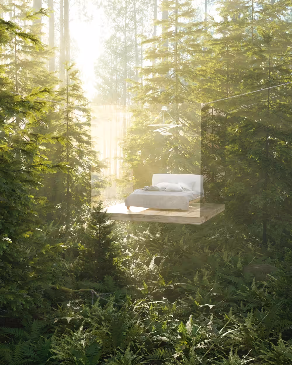 Elevated Dreams #1
