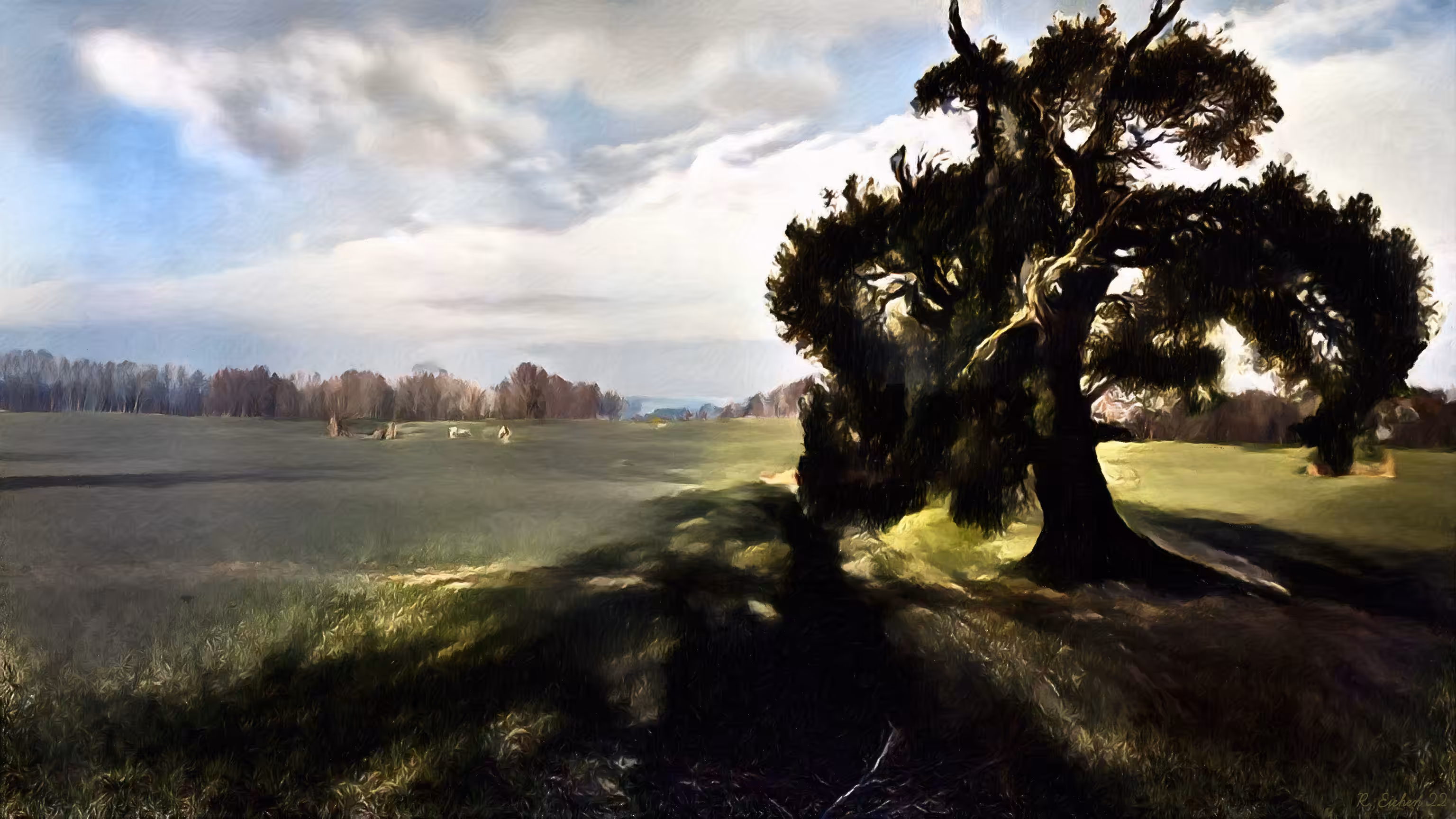 Oak on the meadow