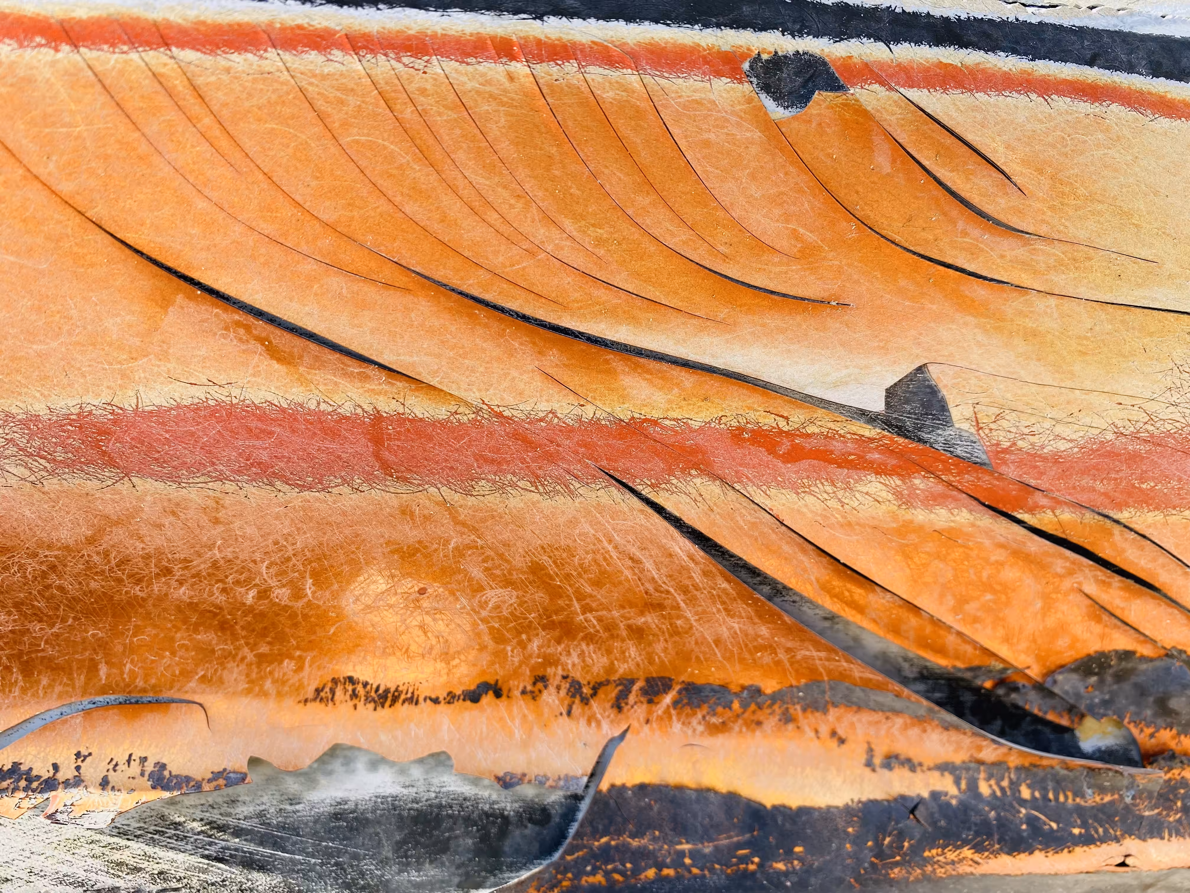 Abstractz #007