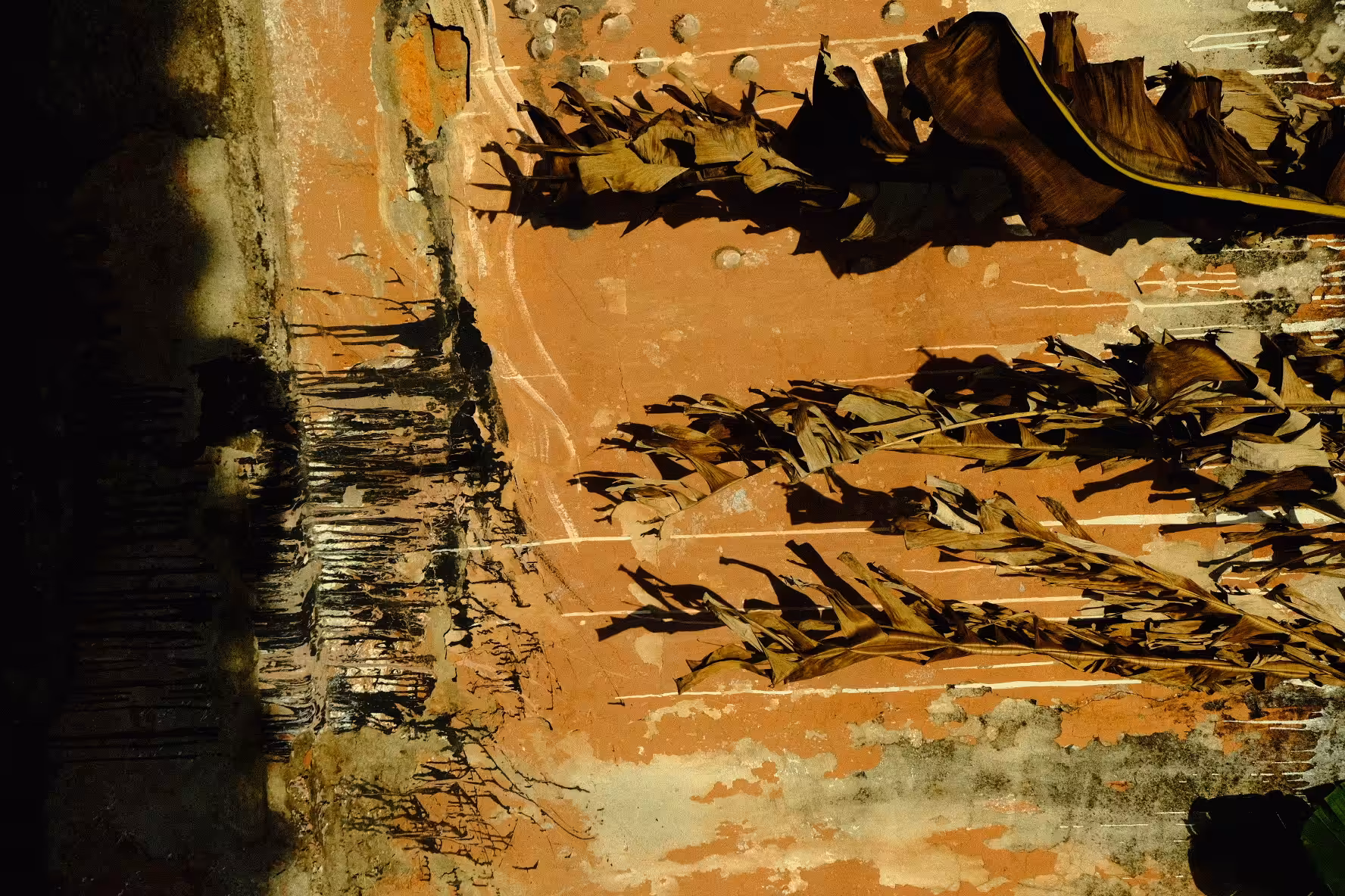 WALLZ_02
