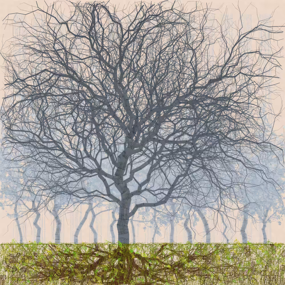 Orchard #206