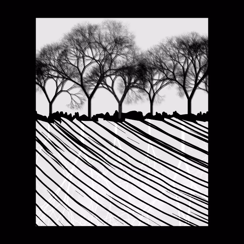 The horizon #1