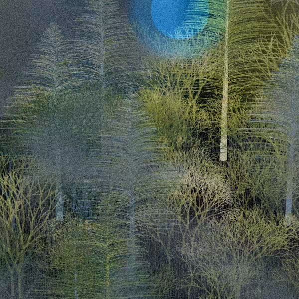 Moonlit Native Bush #13