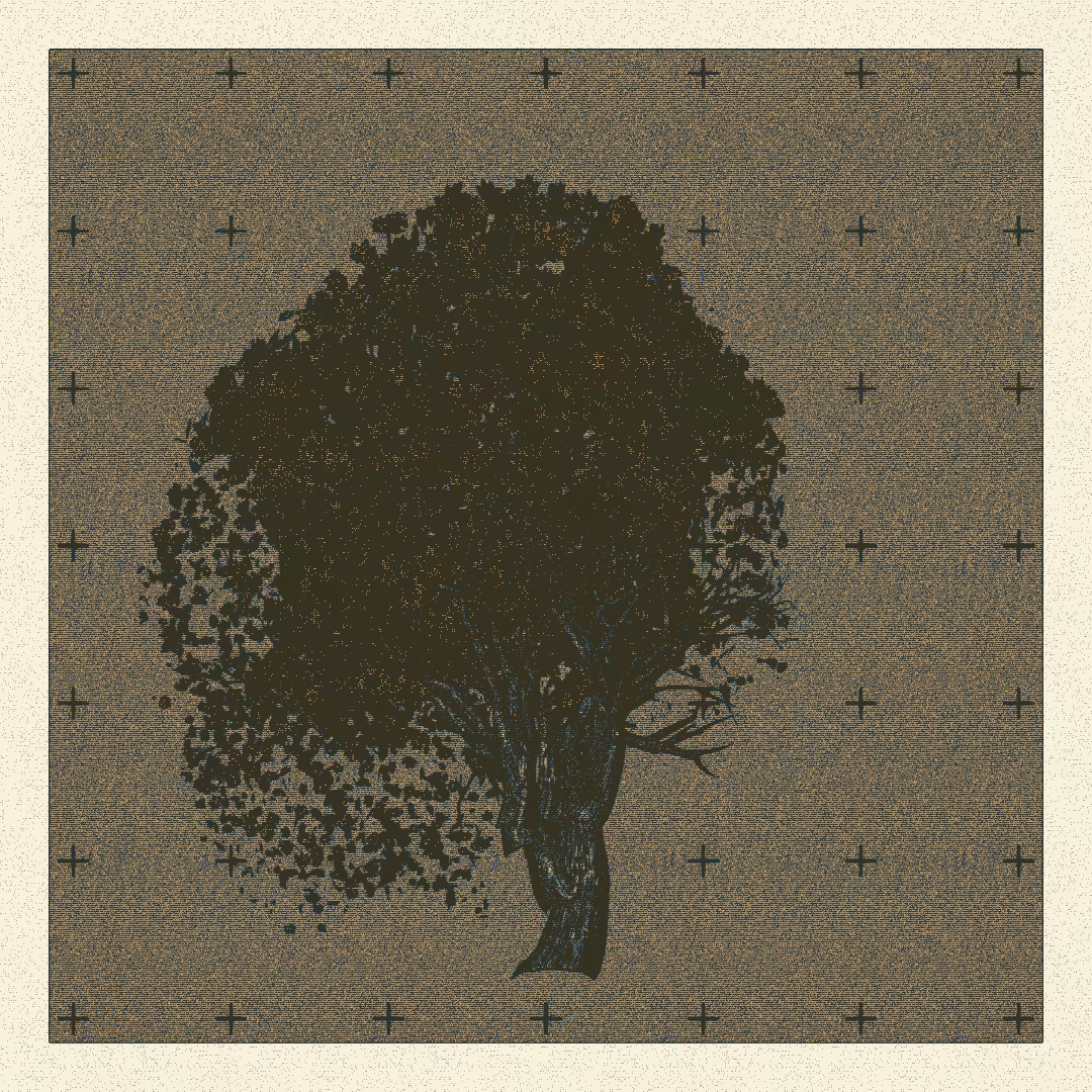 _argania[primaria] #156