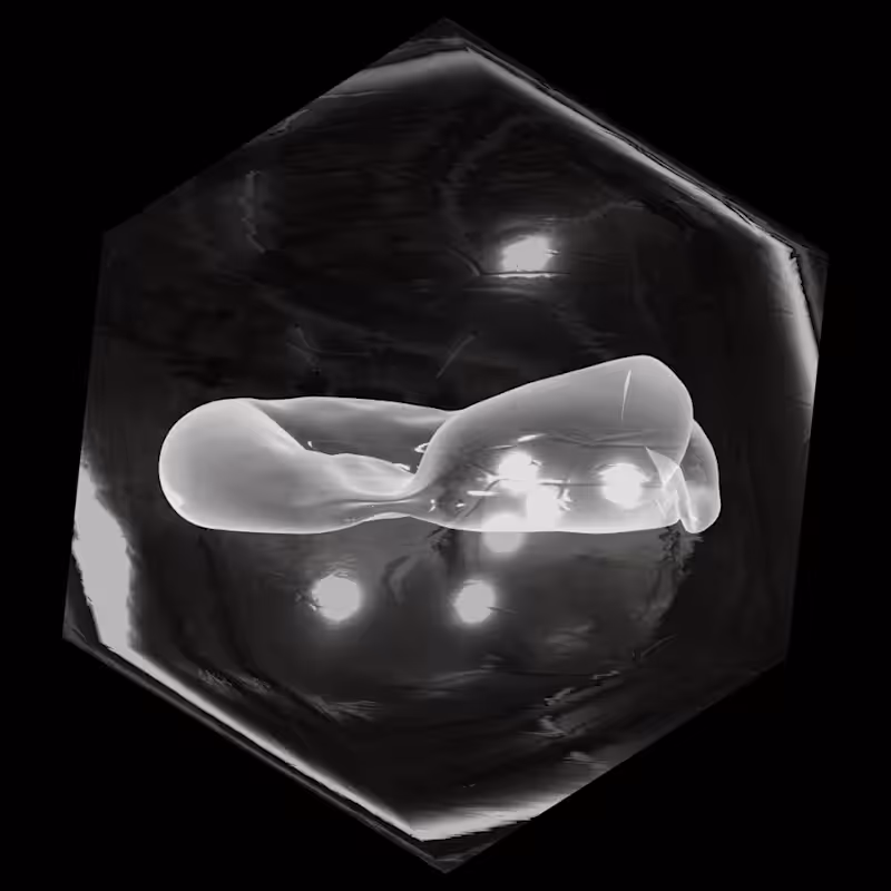 Crypto Orb (Black and white)