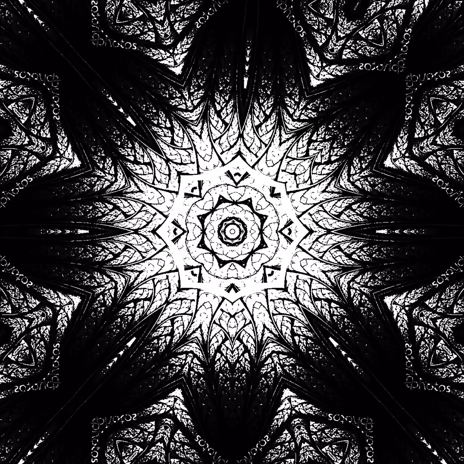 Black & White #003