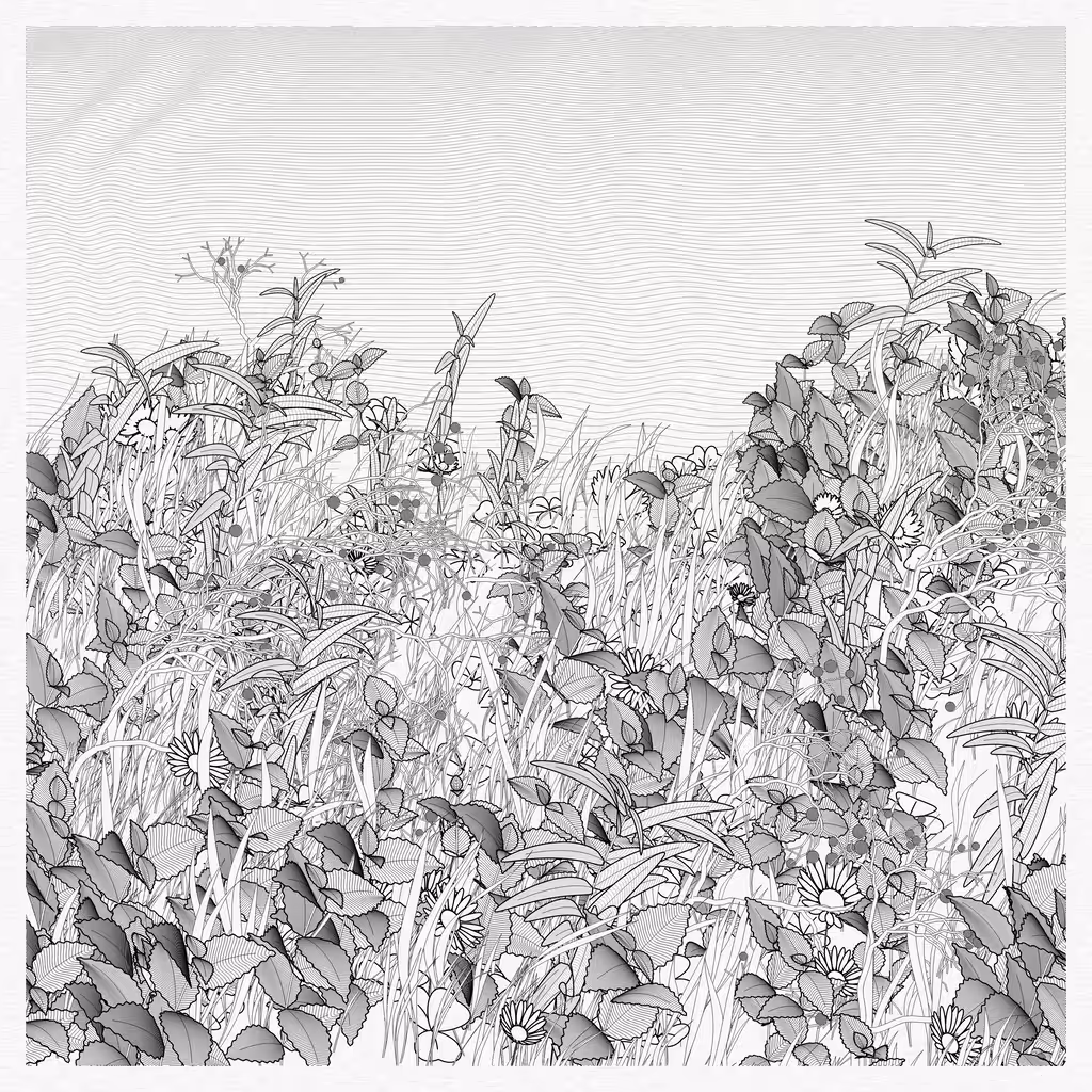 Garden, Monoliths #52